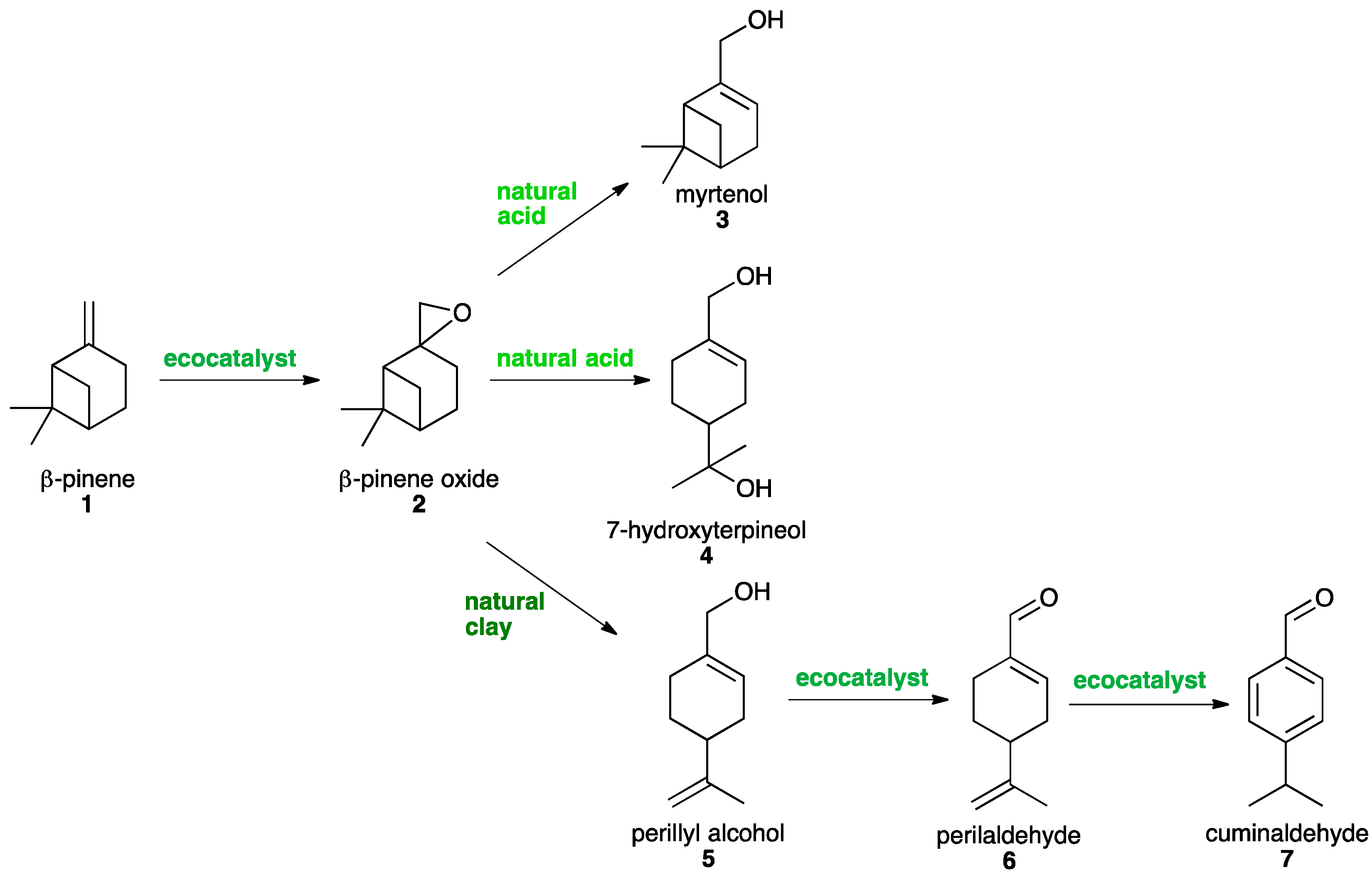 Molecules 26 07194 g002