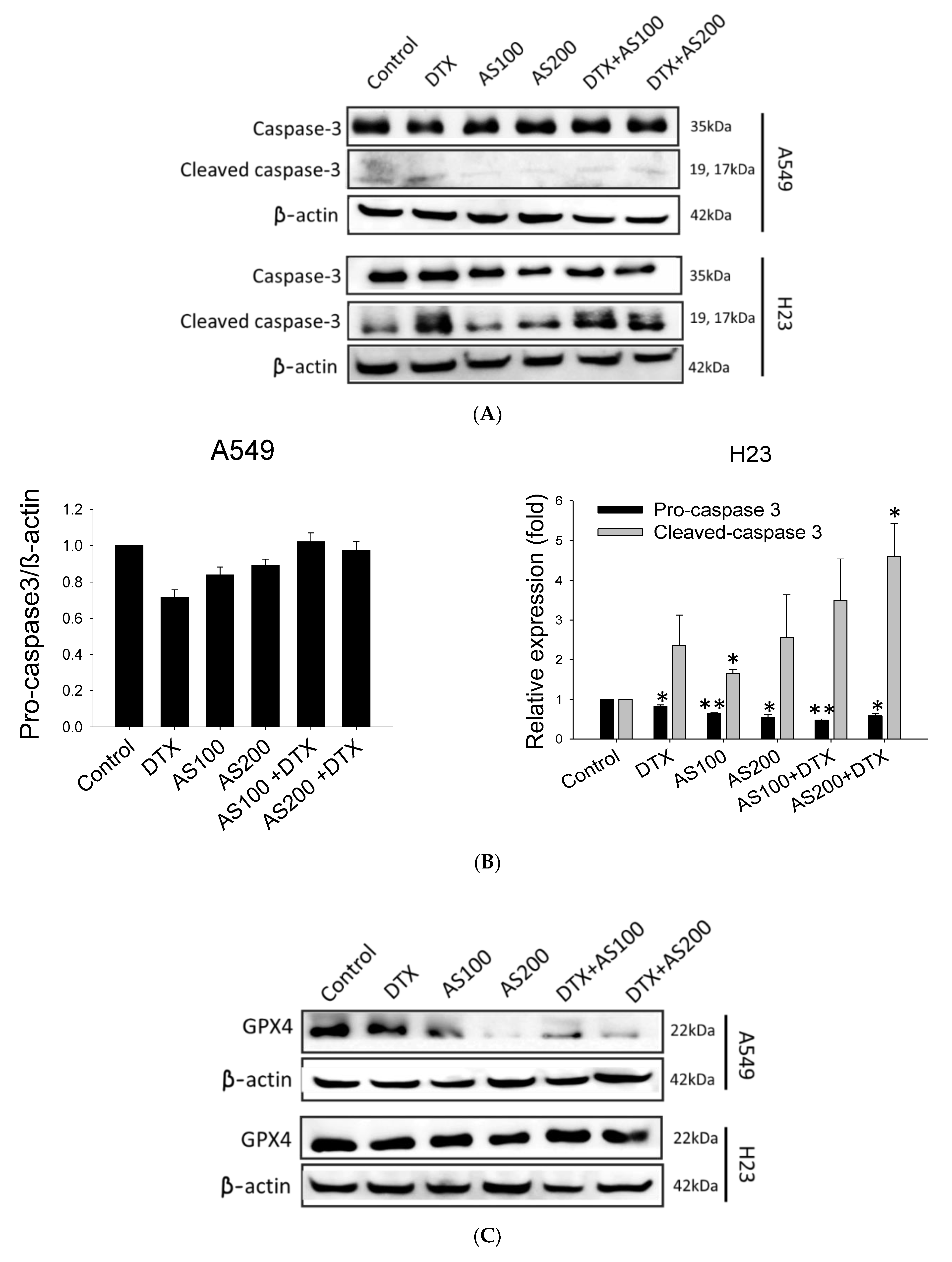 Molecules 26 07200 g003a 550