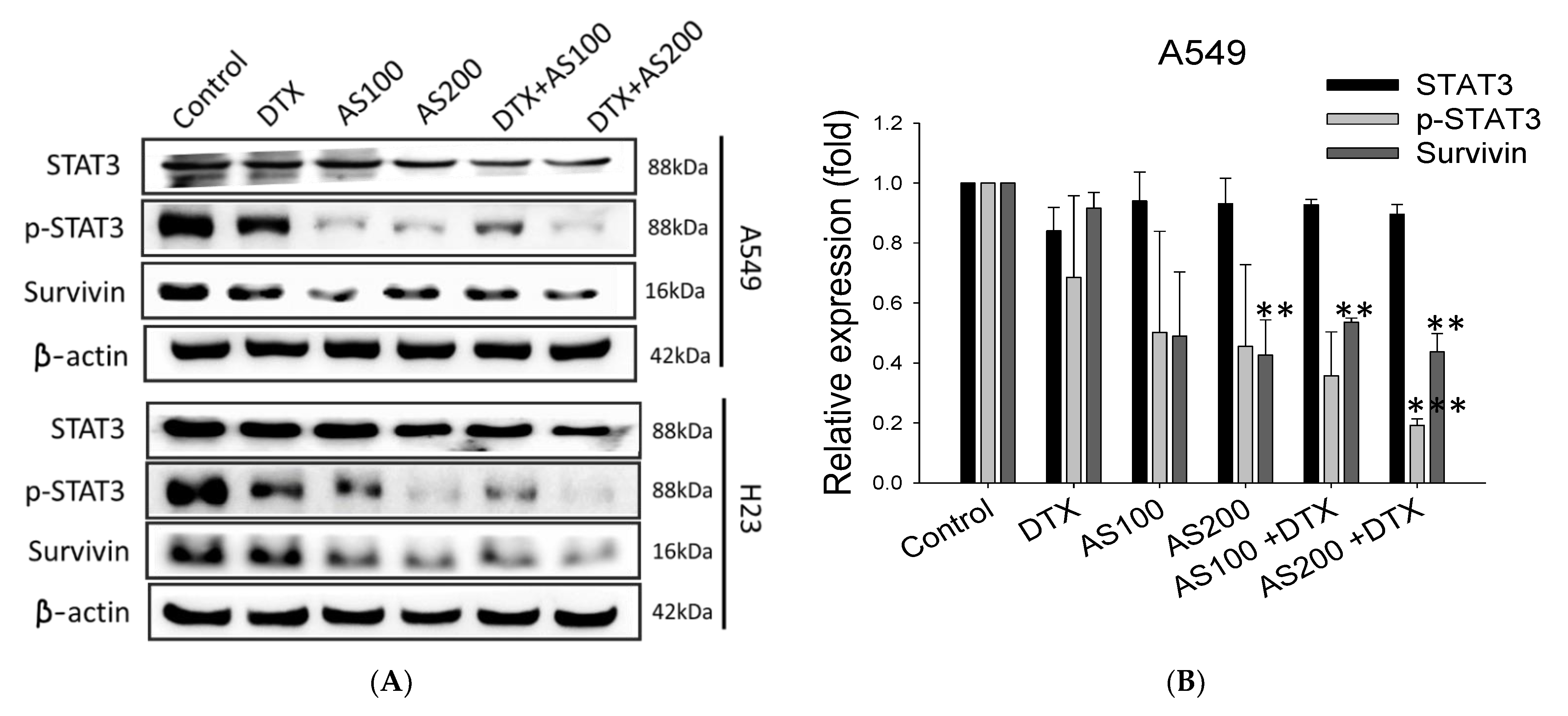 Molecules 26 07200 g004a 550