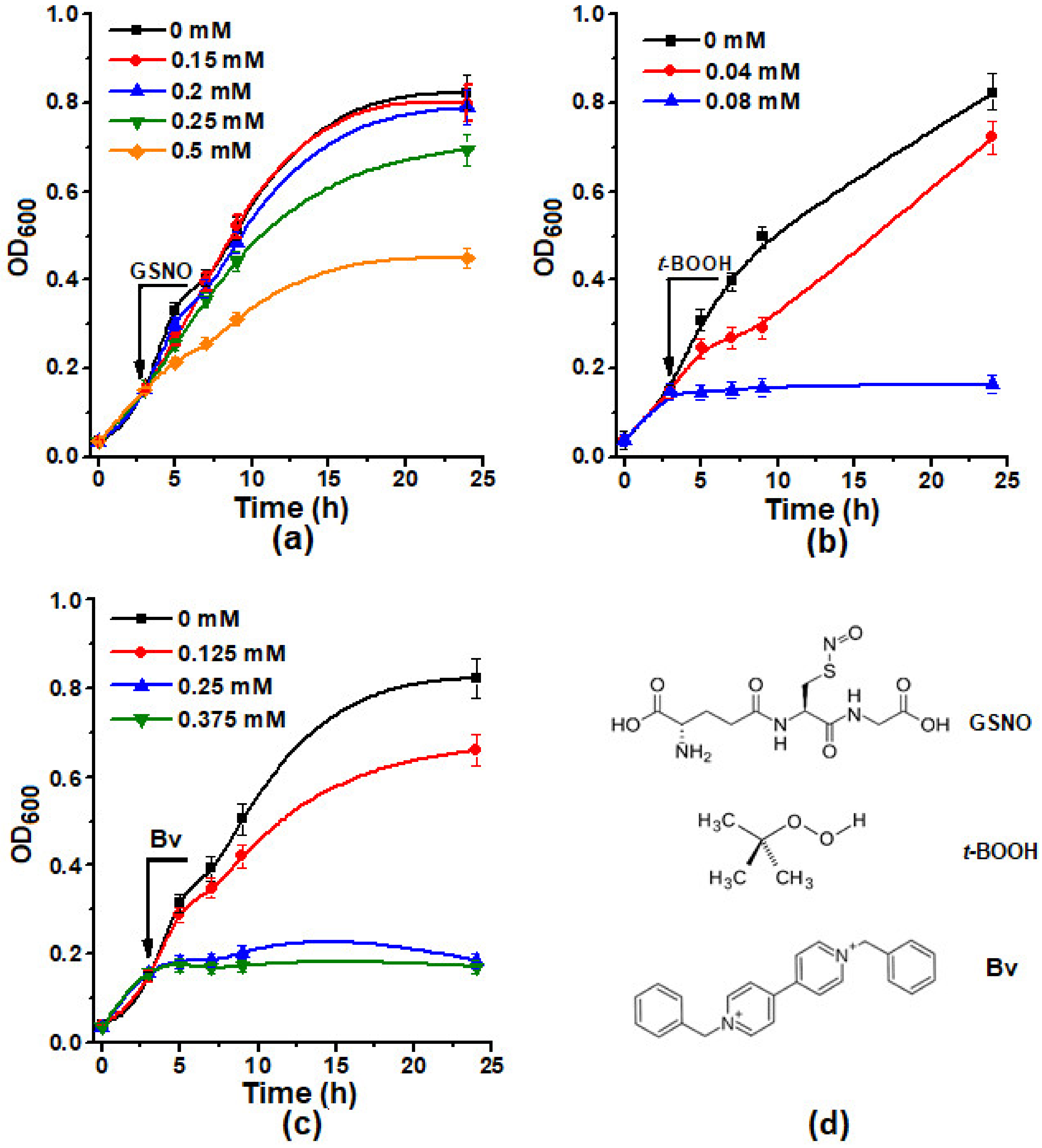 Molecules 26 07207 g002 Molecules 26 07207 g002