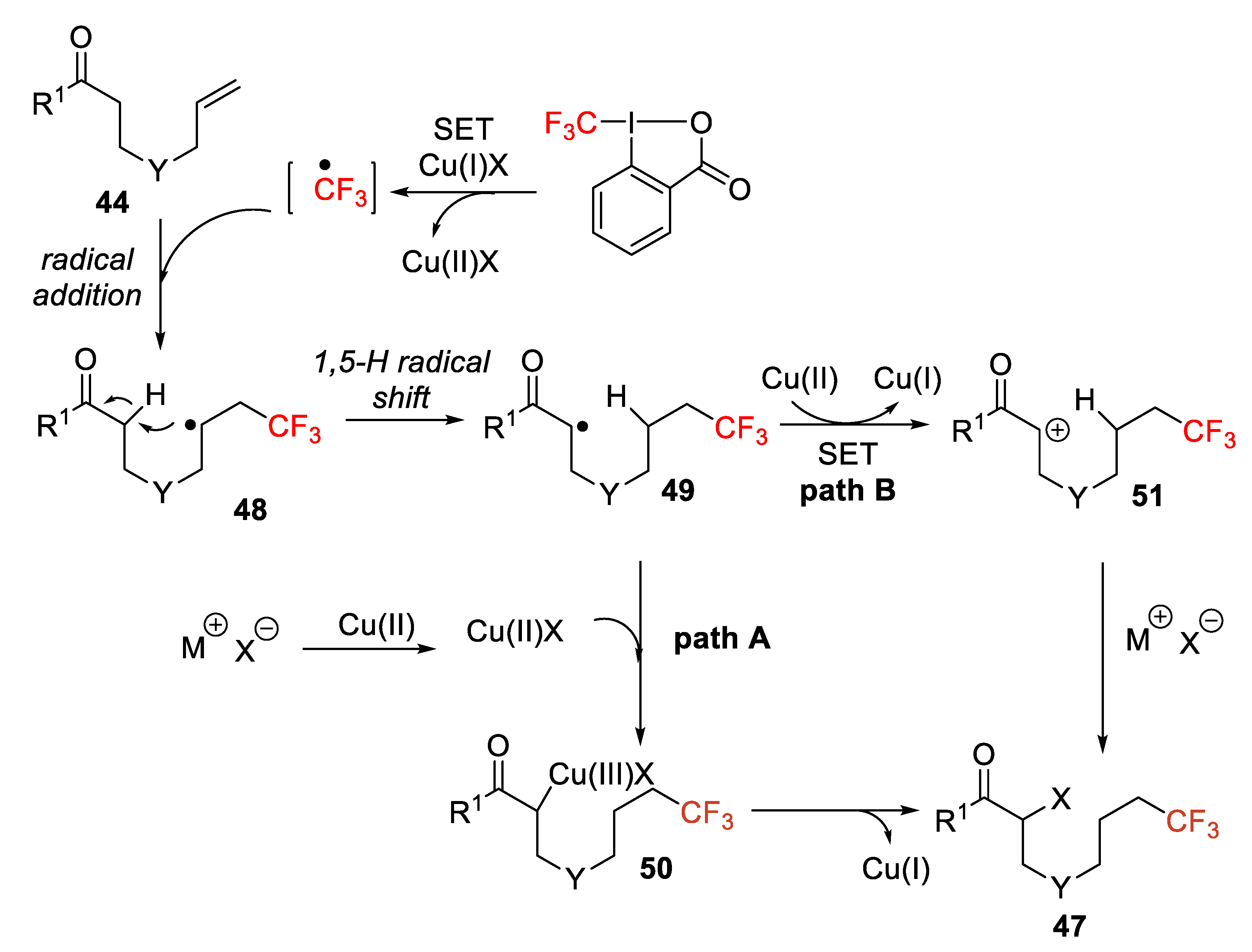 Molecules 26 07221 sch041 550