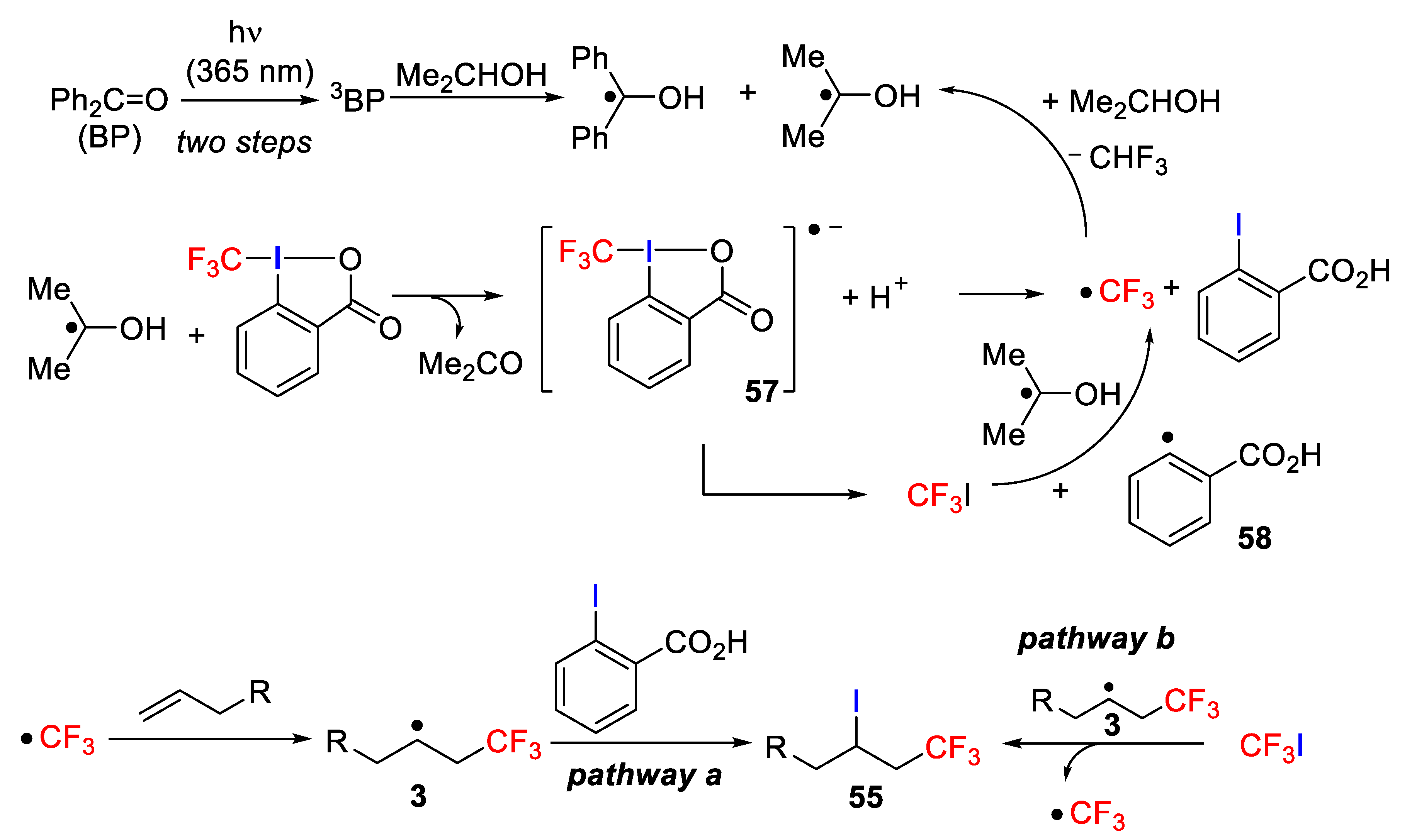 Molecules 26 07221 sch047 550