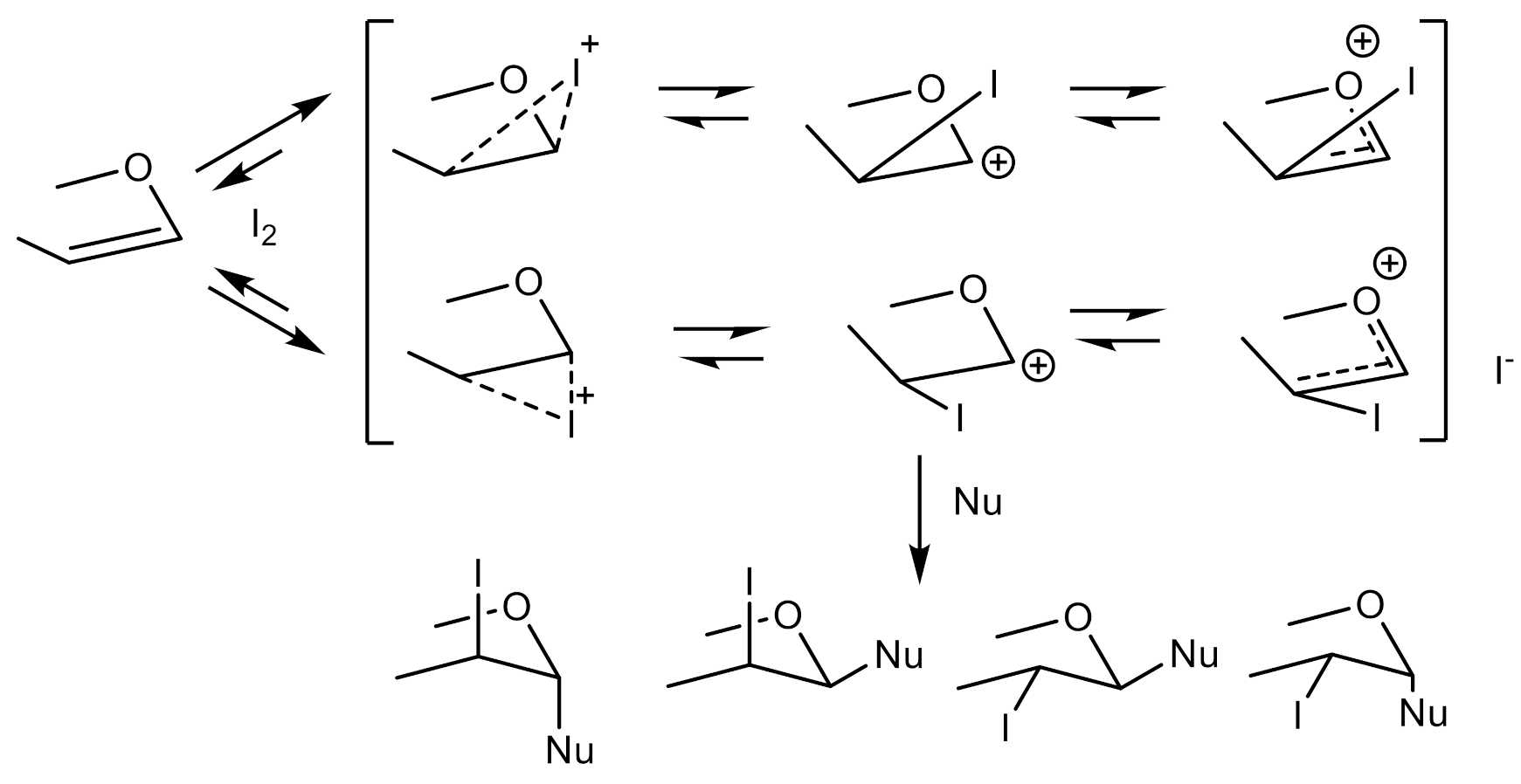 Molecules 26 07245 sch002 Molecules 26 07245 sch002