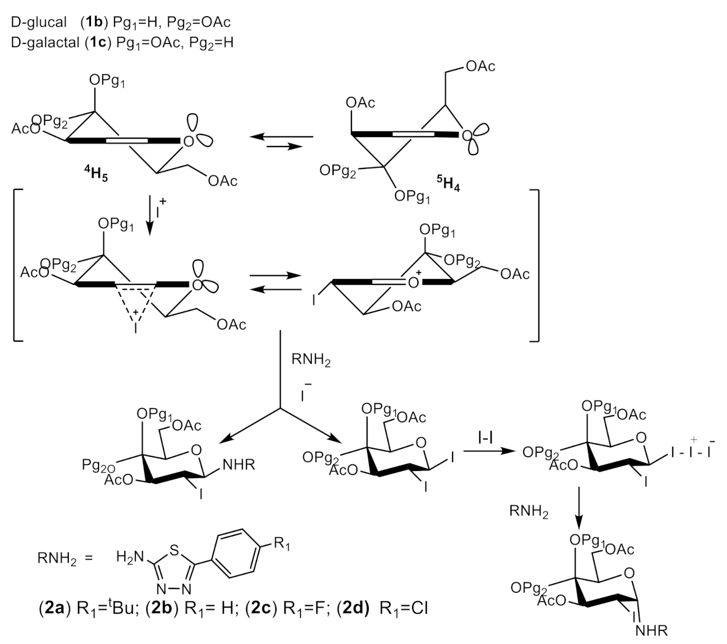 Molecules 26 07245 sch004 Molecules 26 07245 sch004