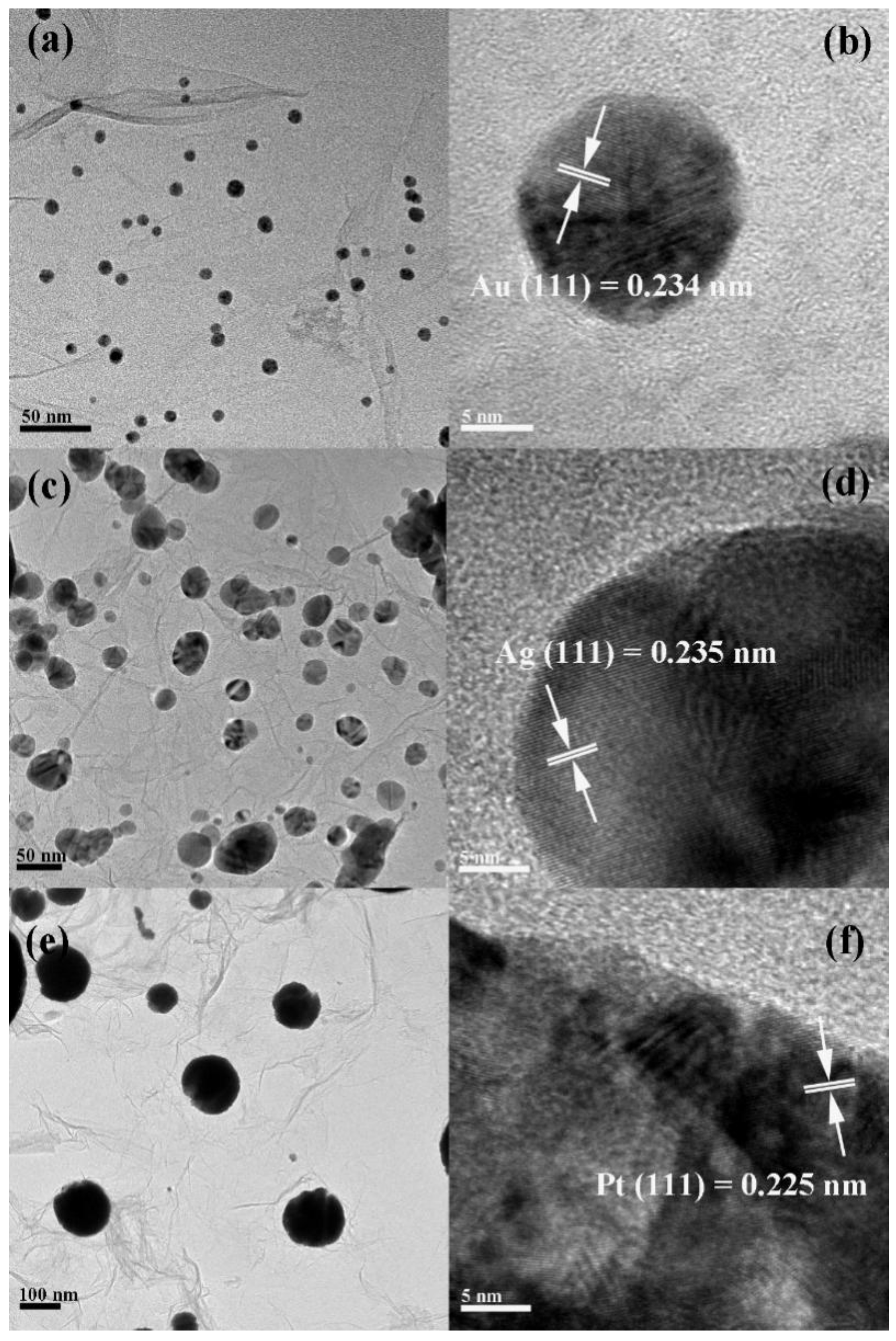 One-Pot Facile Synthesis of Noble Metal Nanoparticles