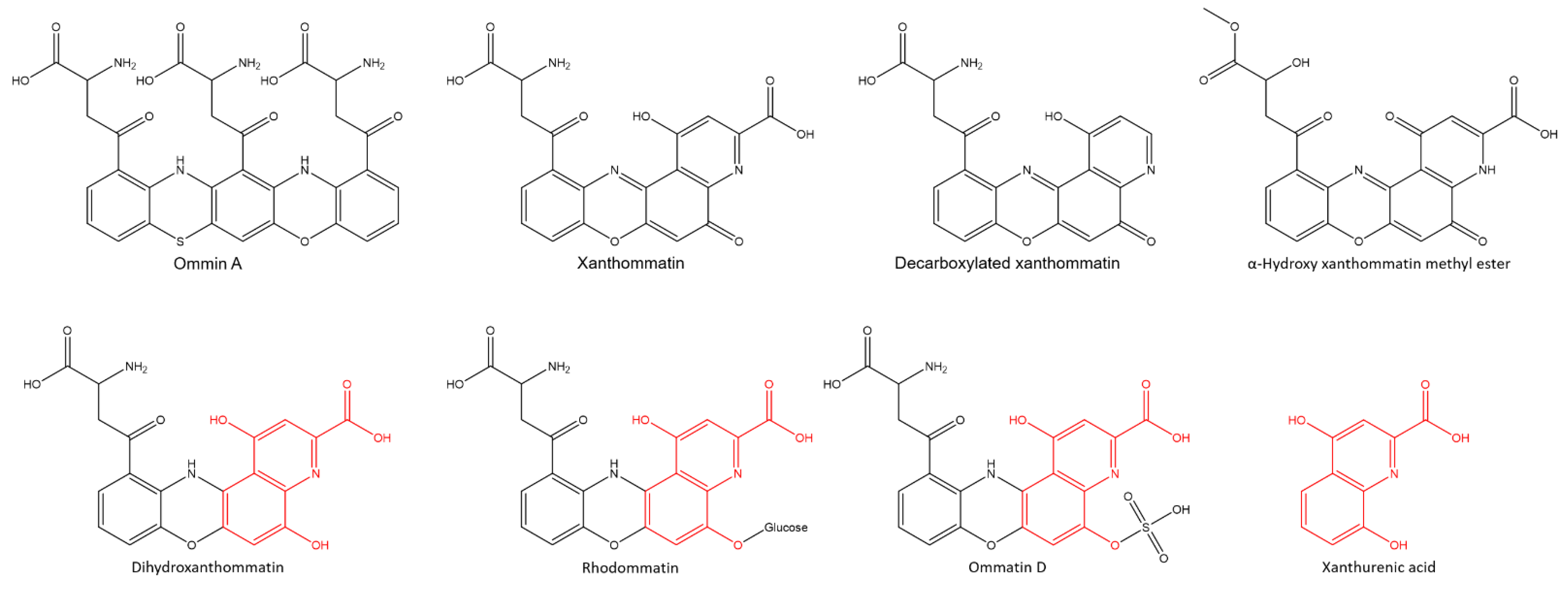 Molecules 26 07263 g004 550