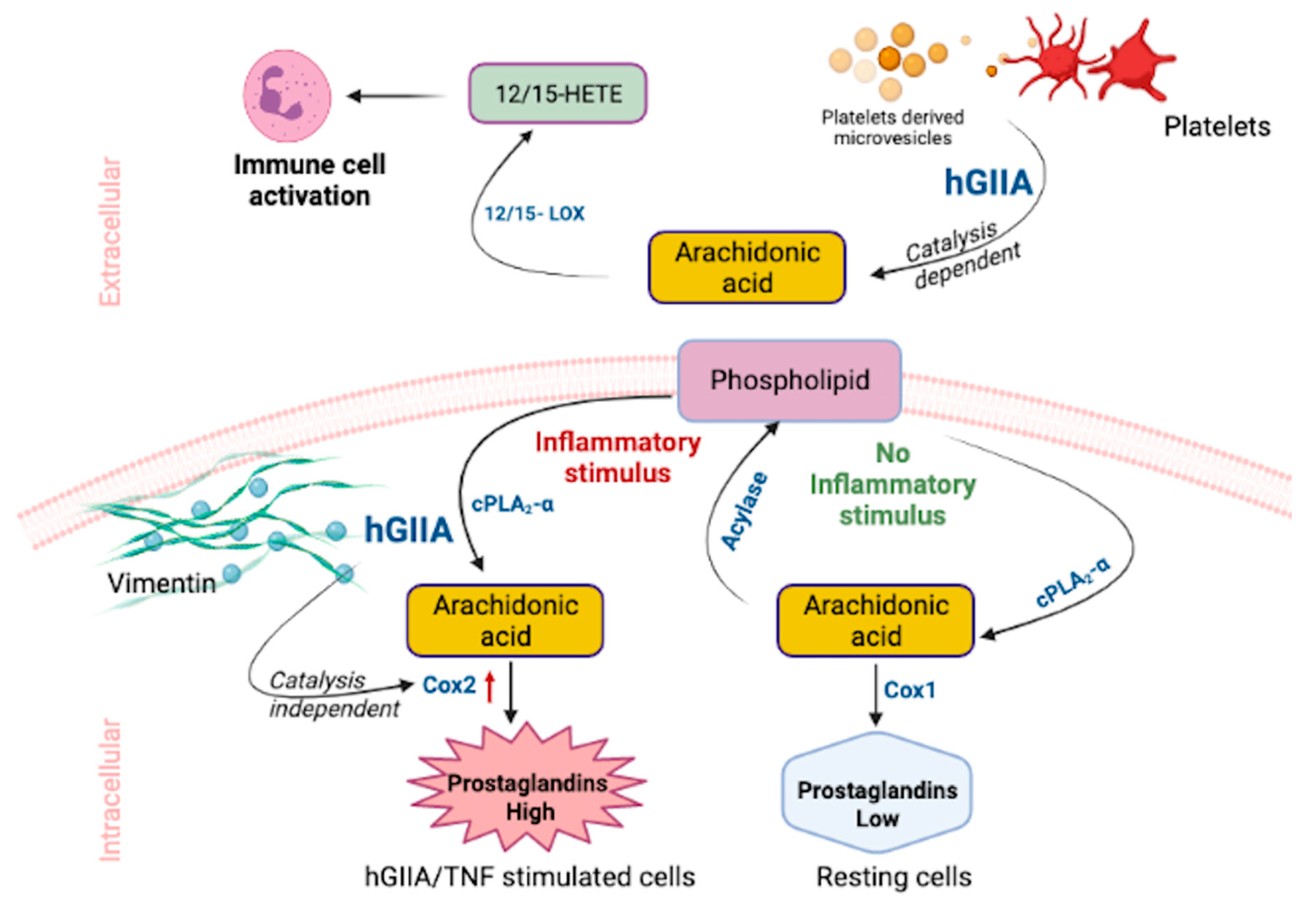 Molecules 26 07267 g002 Molecules 26 07267 g002