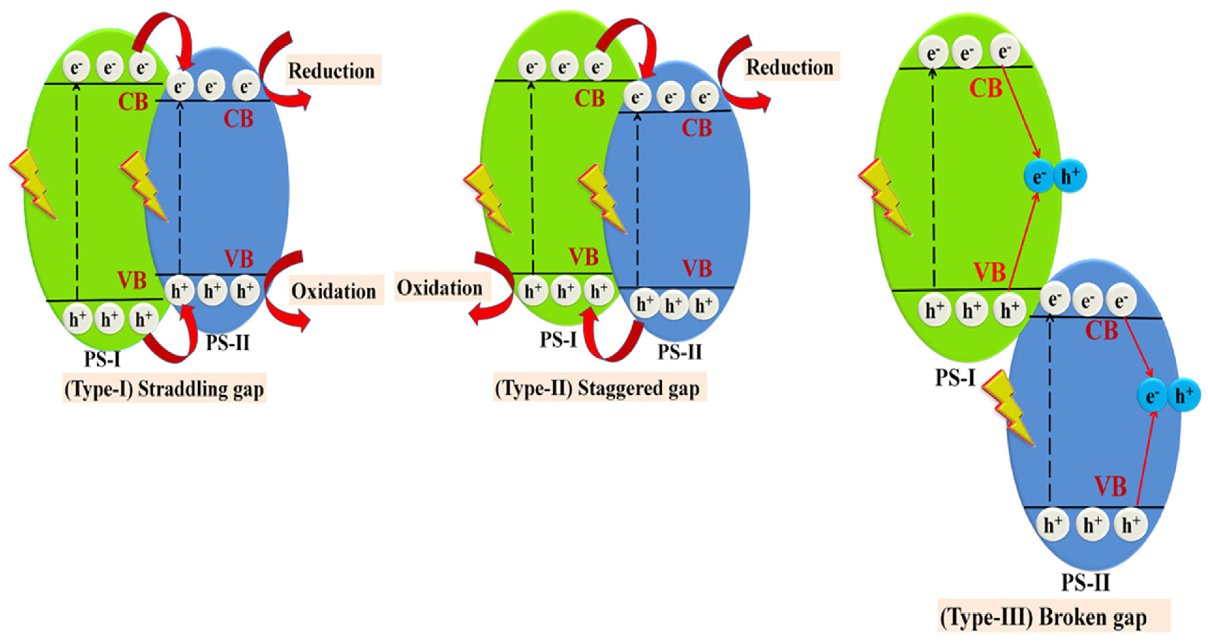 Molecules 26 07271 g014