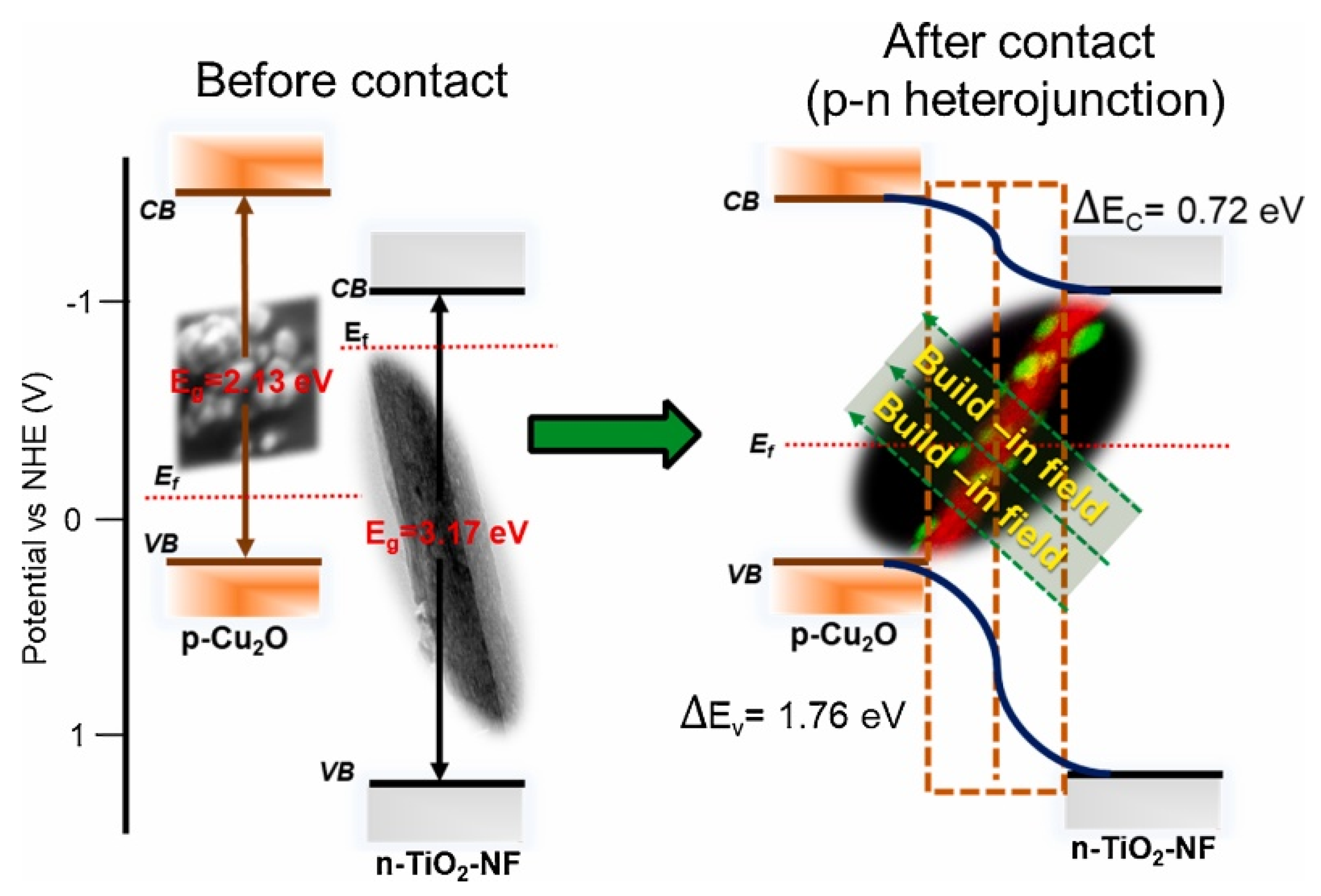 Molecules 26 07271 g018