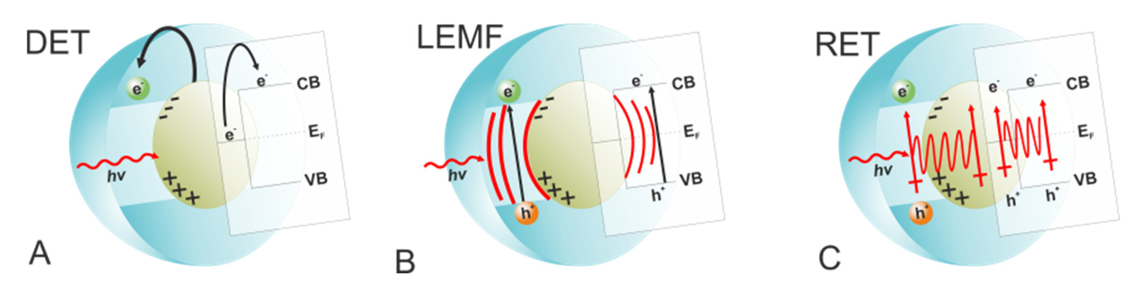 Molecules 26 07271 g020