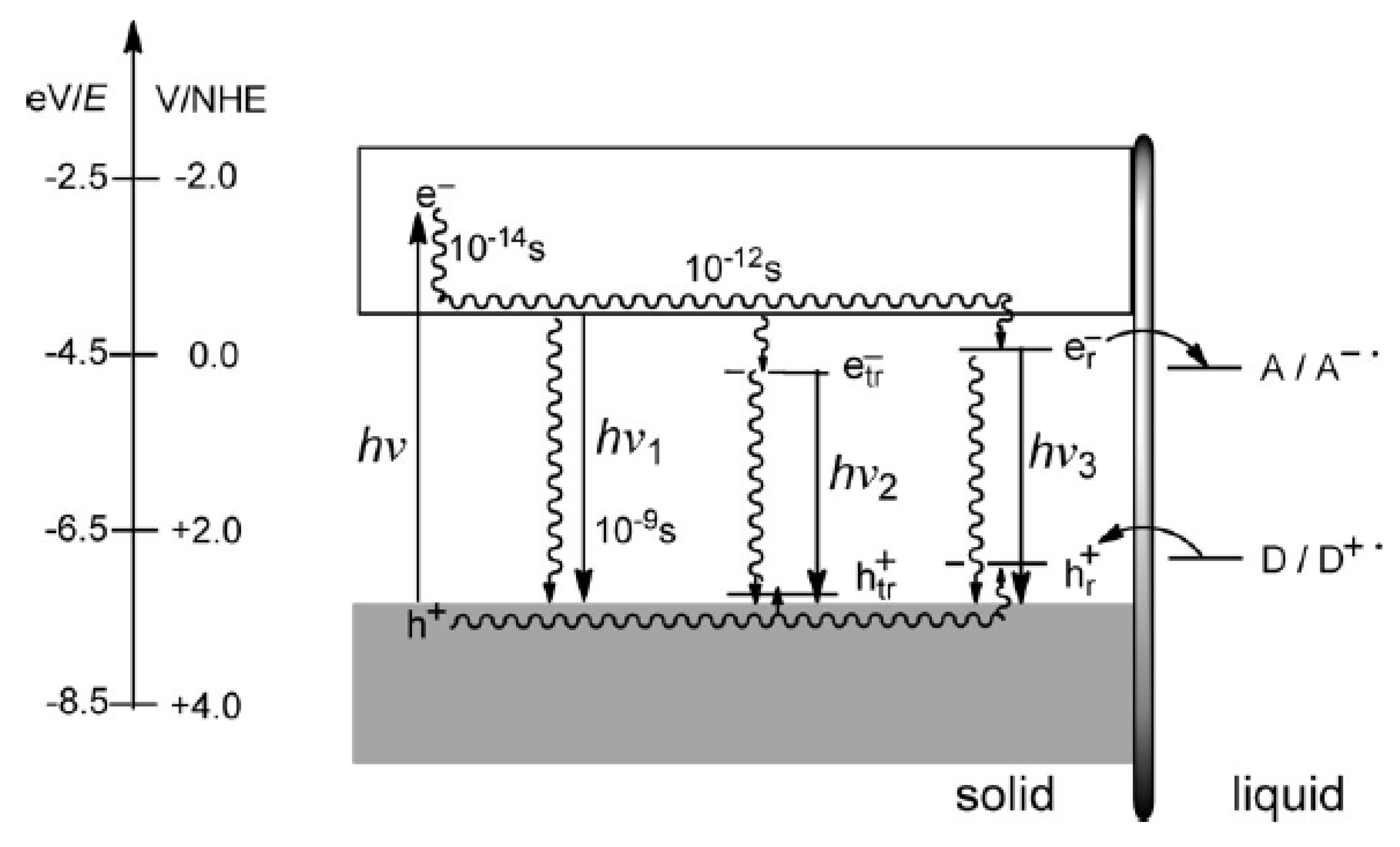 Molecules 26 07271 g021