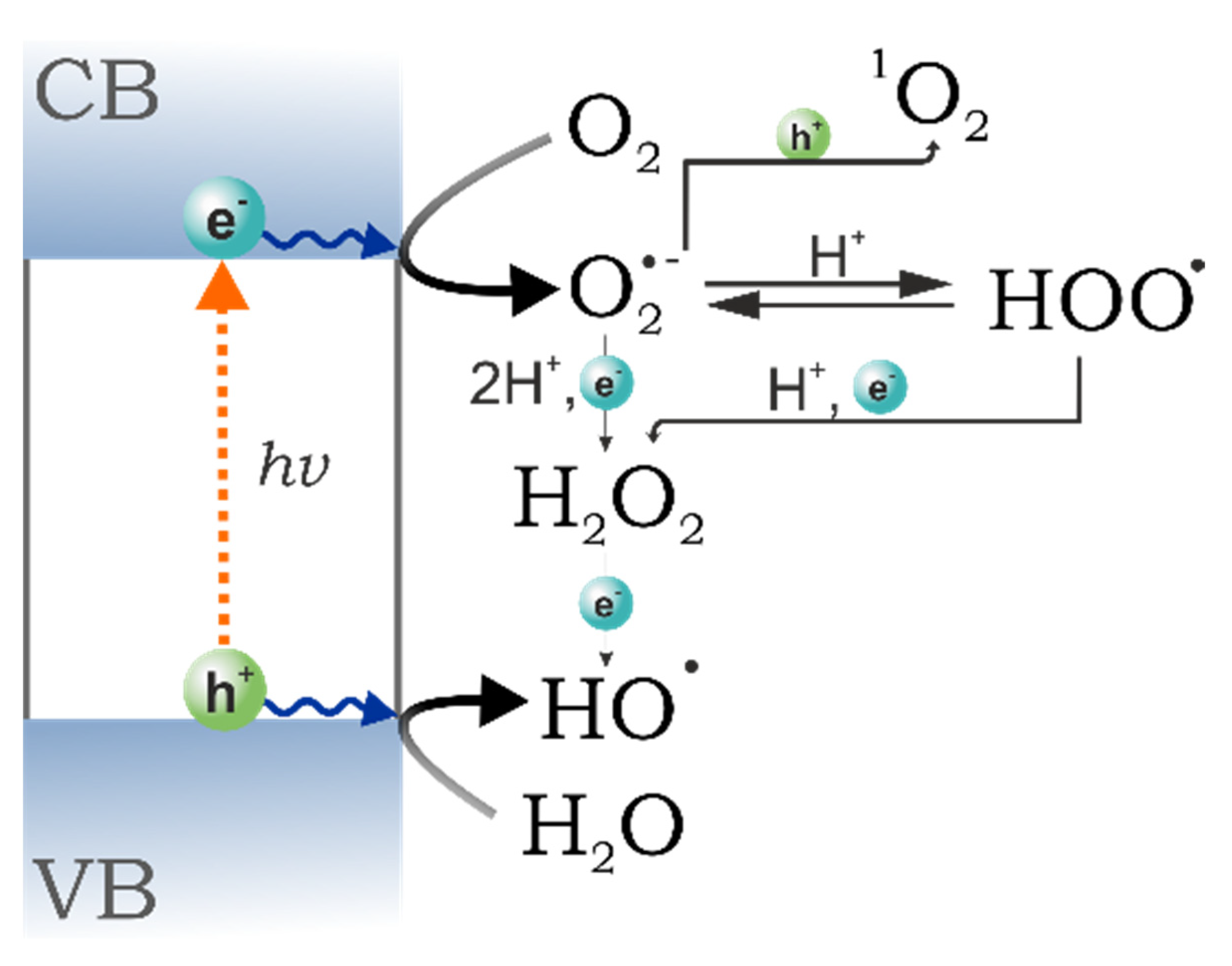 Molecules 26 07271 g022