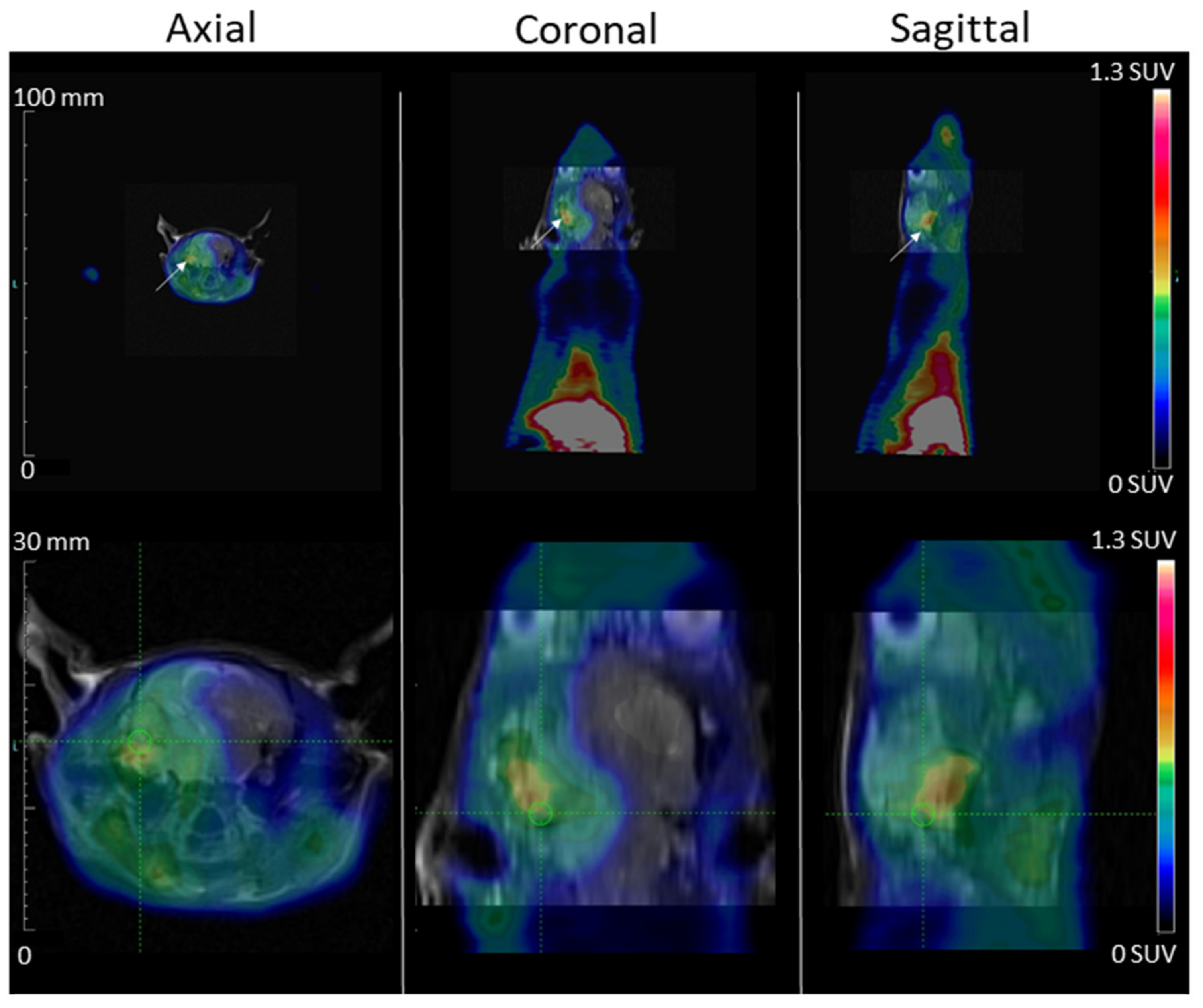Molecules 26 07273 g008 550