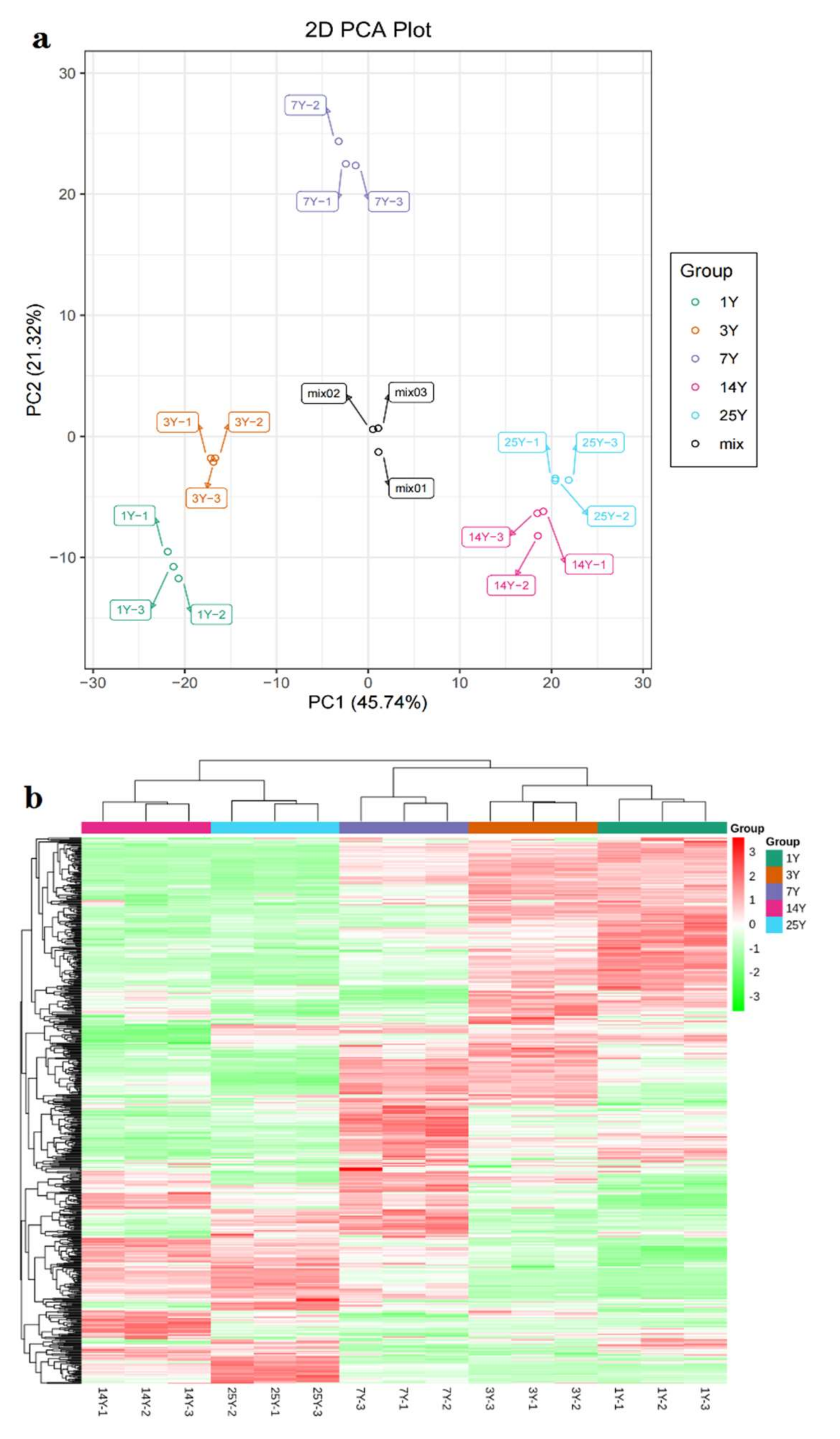 Molecules 26 07278 g001