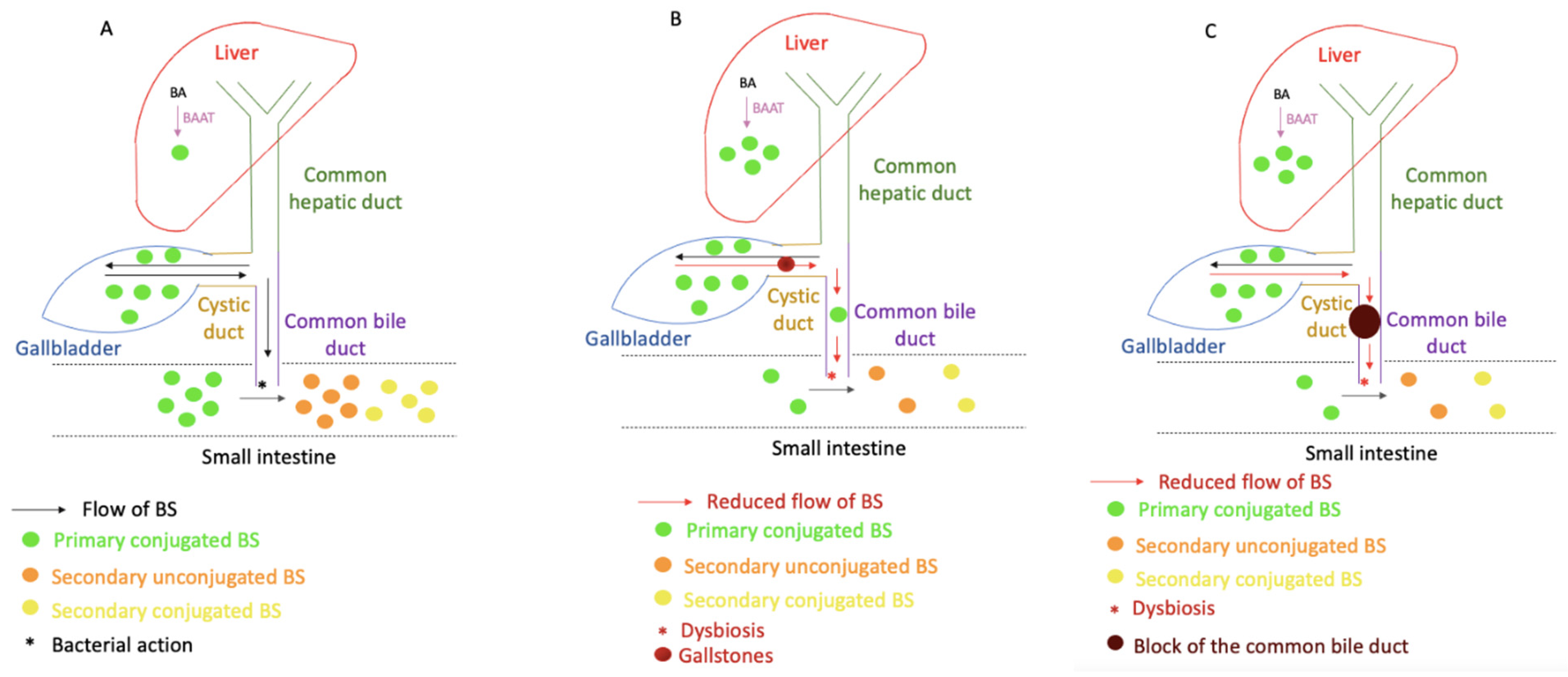 Molecules 26 07279 g004