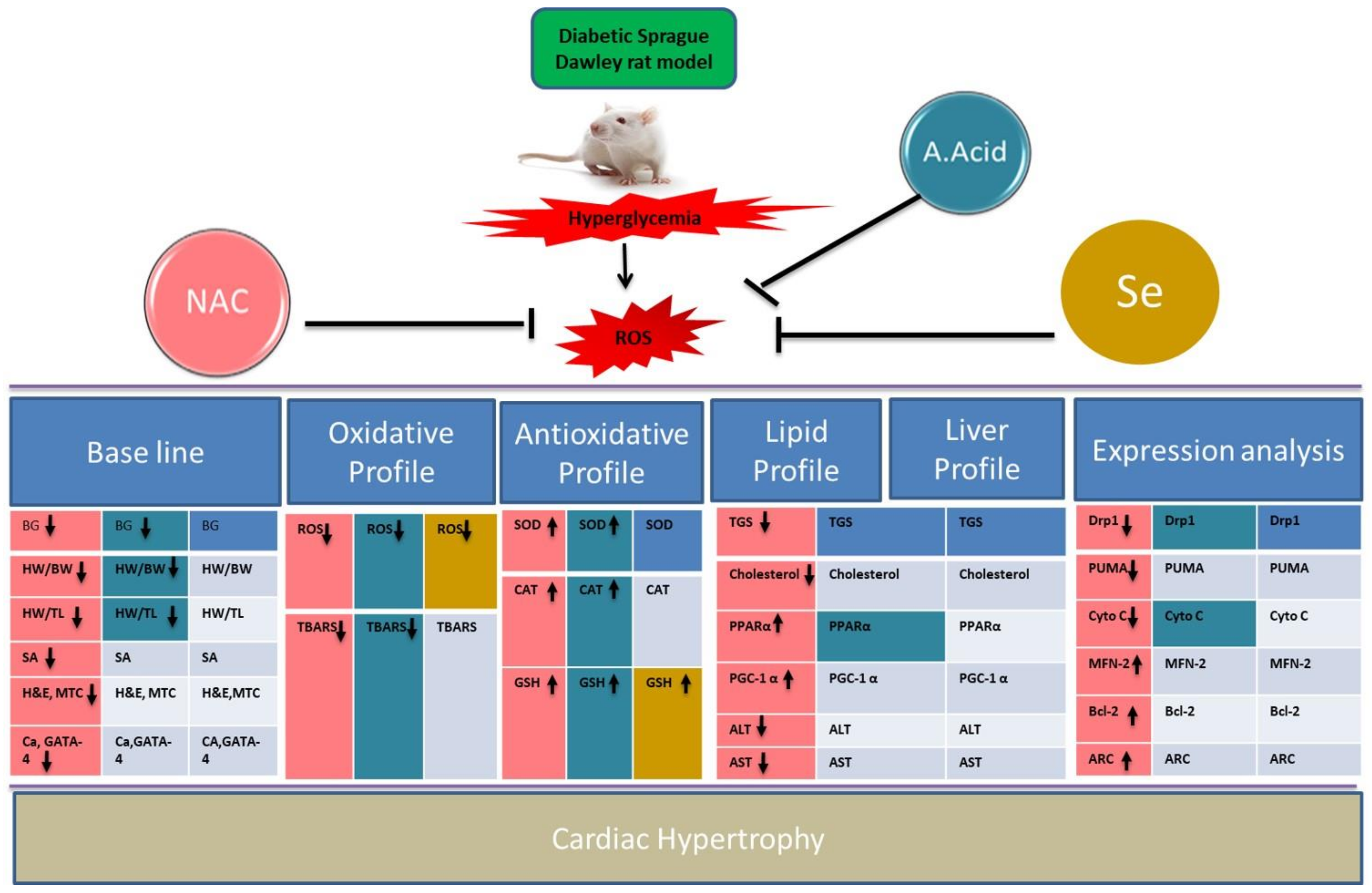 Molecules 26 07285 g007