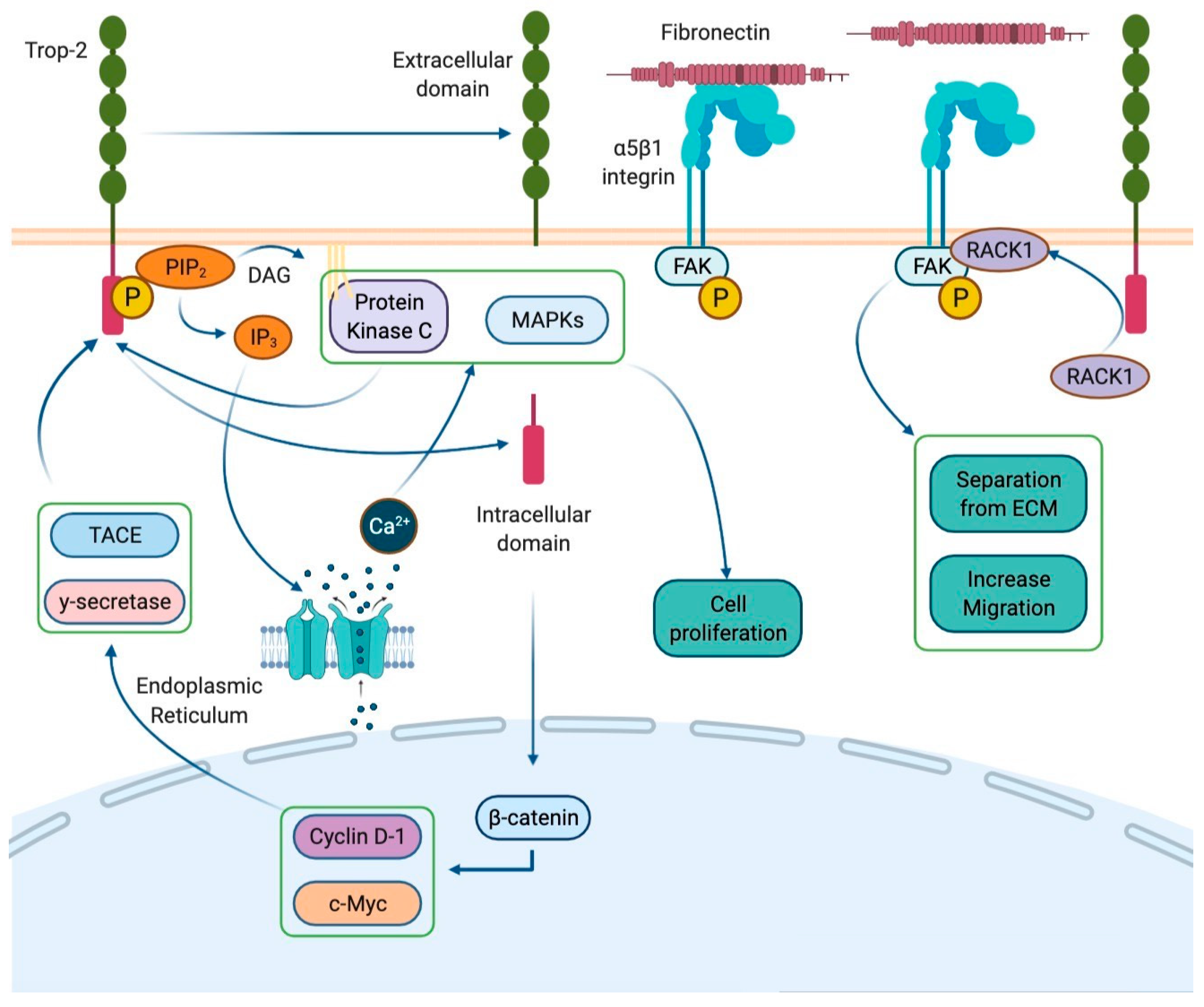 Molecules 26 07294 g001