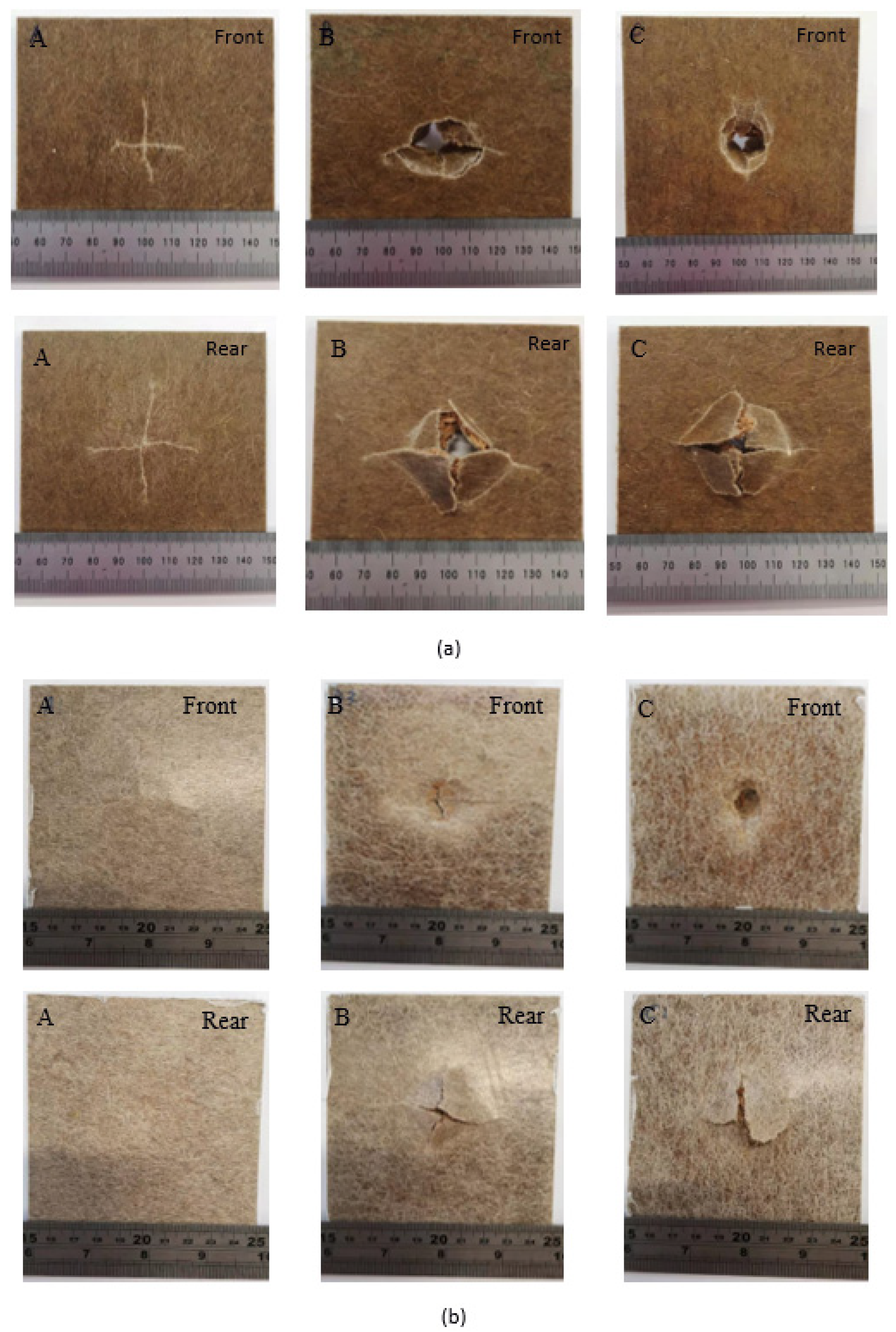 Molecules 26 07295 g010