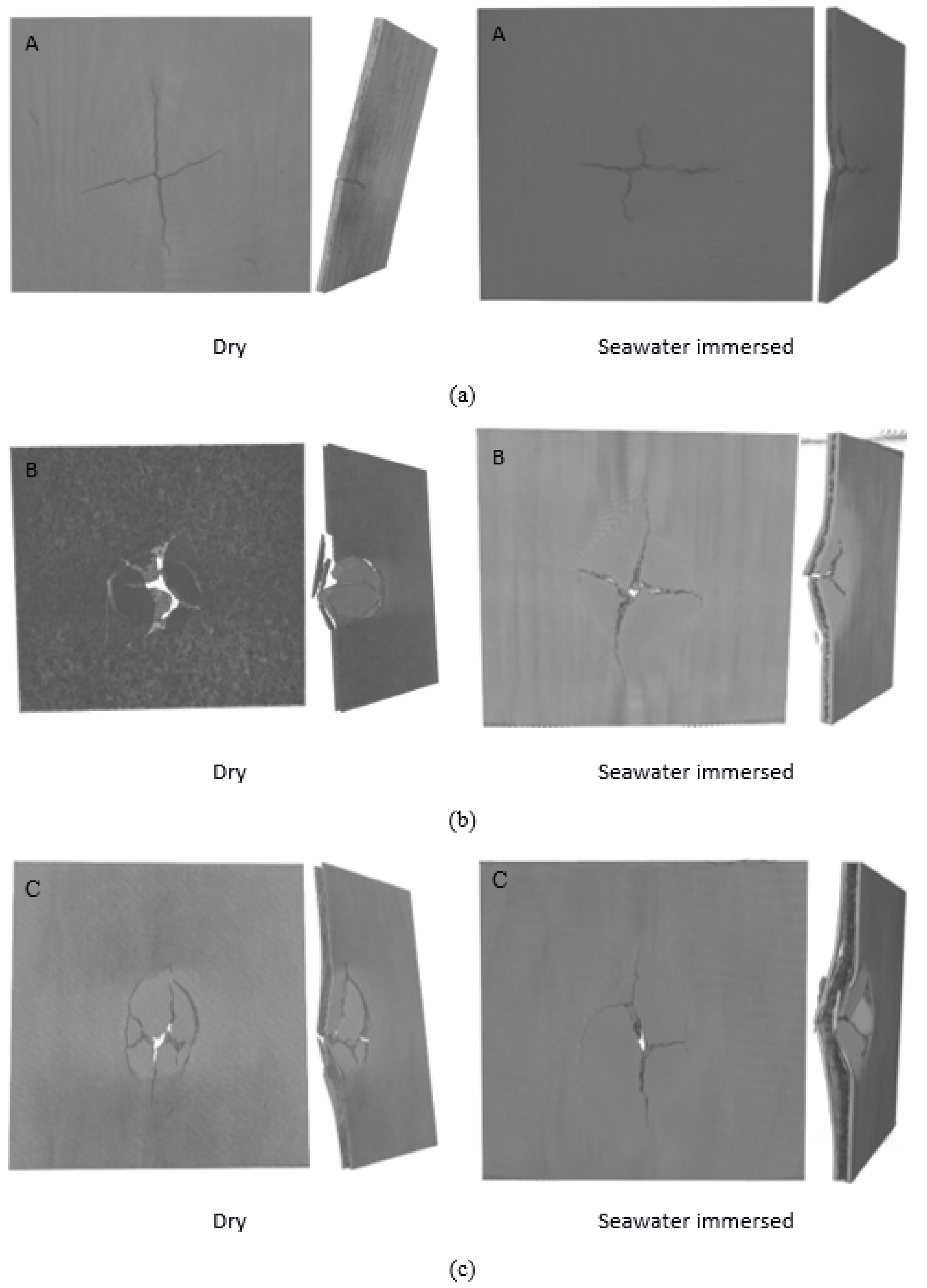 Molecules 26 07295 g011