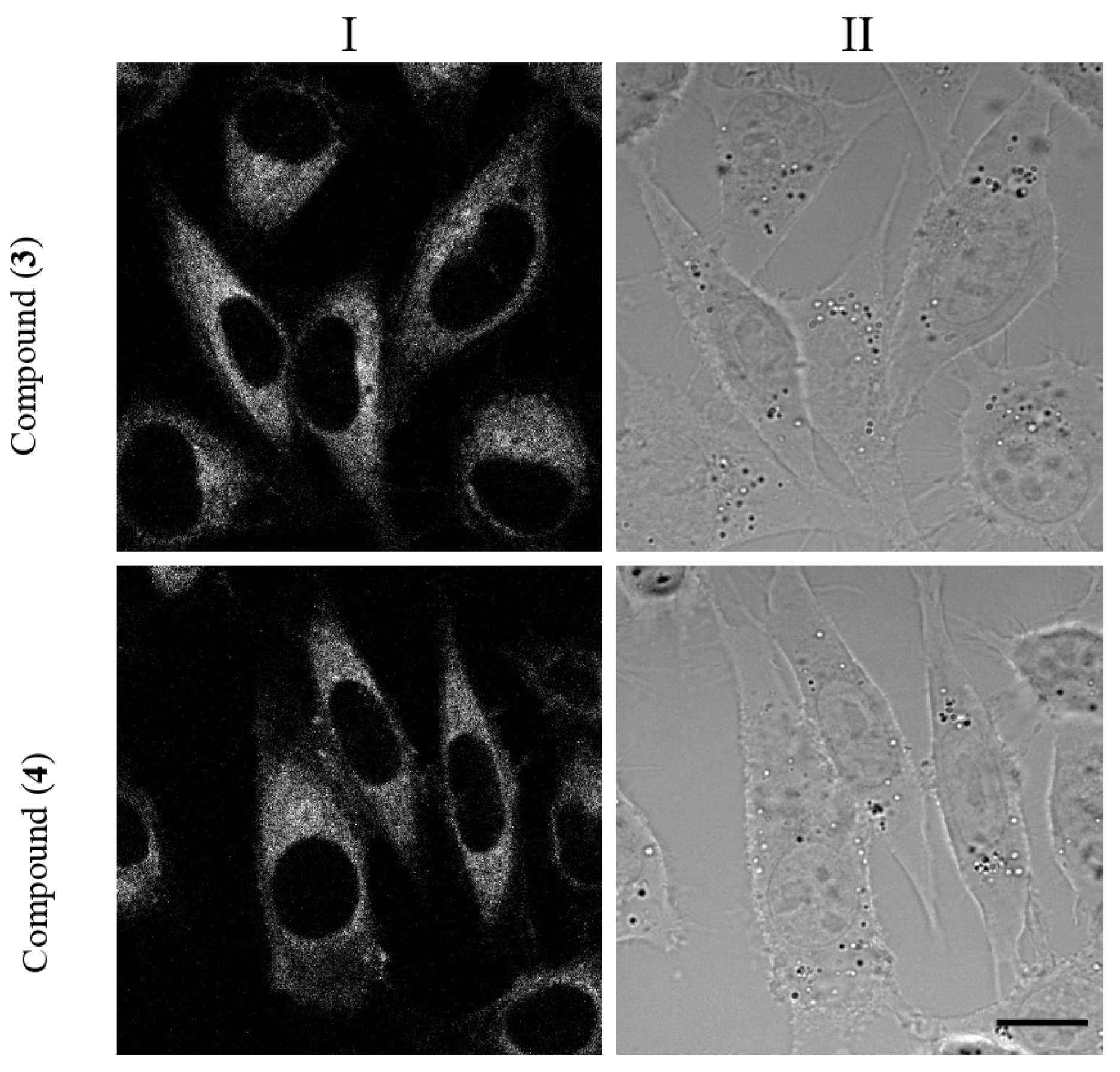 Molecules 26 07298 g006 550