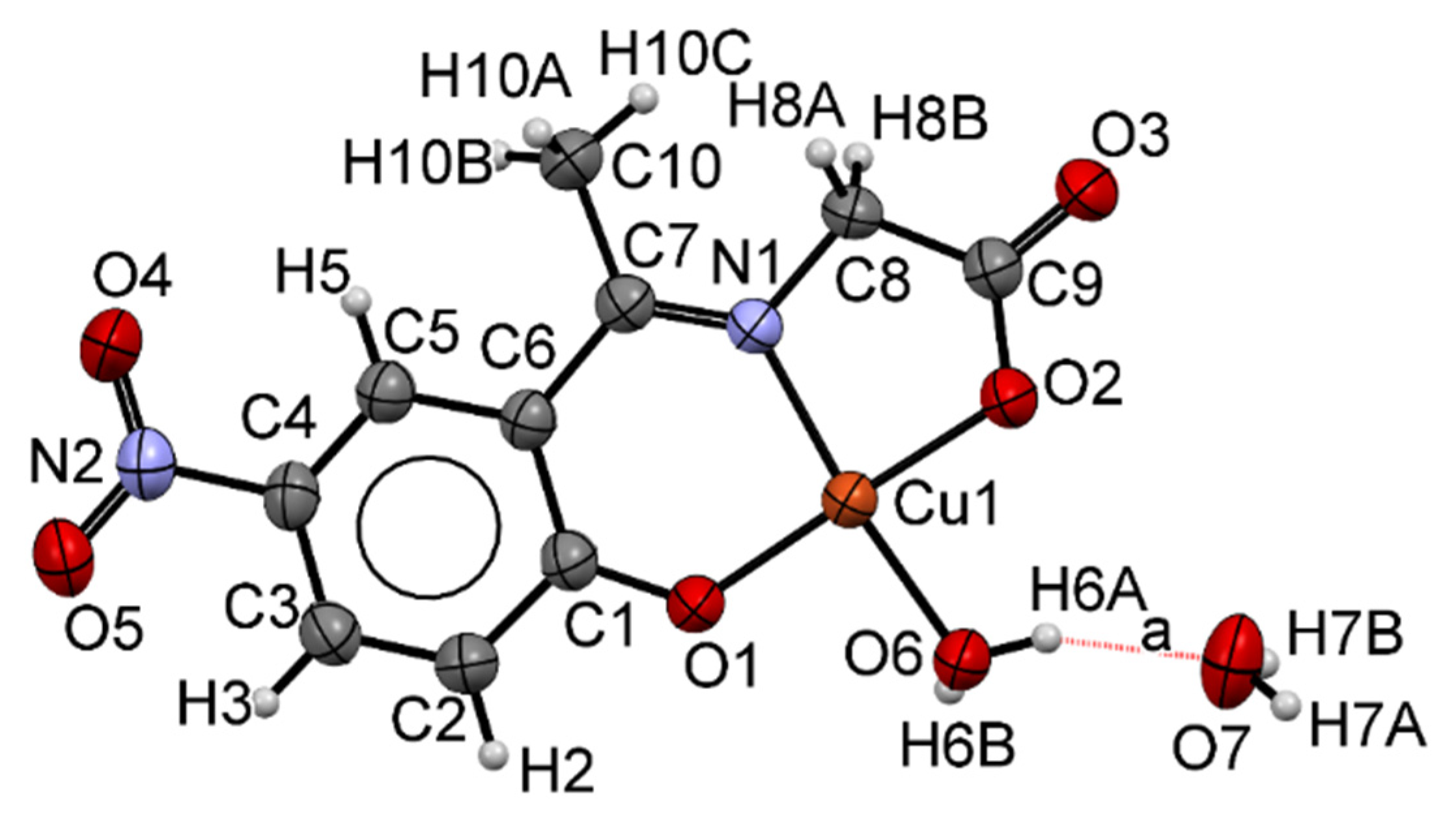 Molecules 26 07301 g001