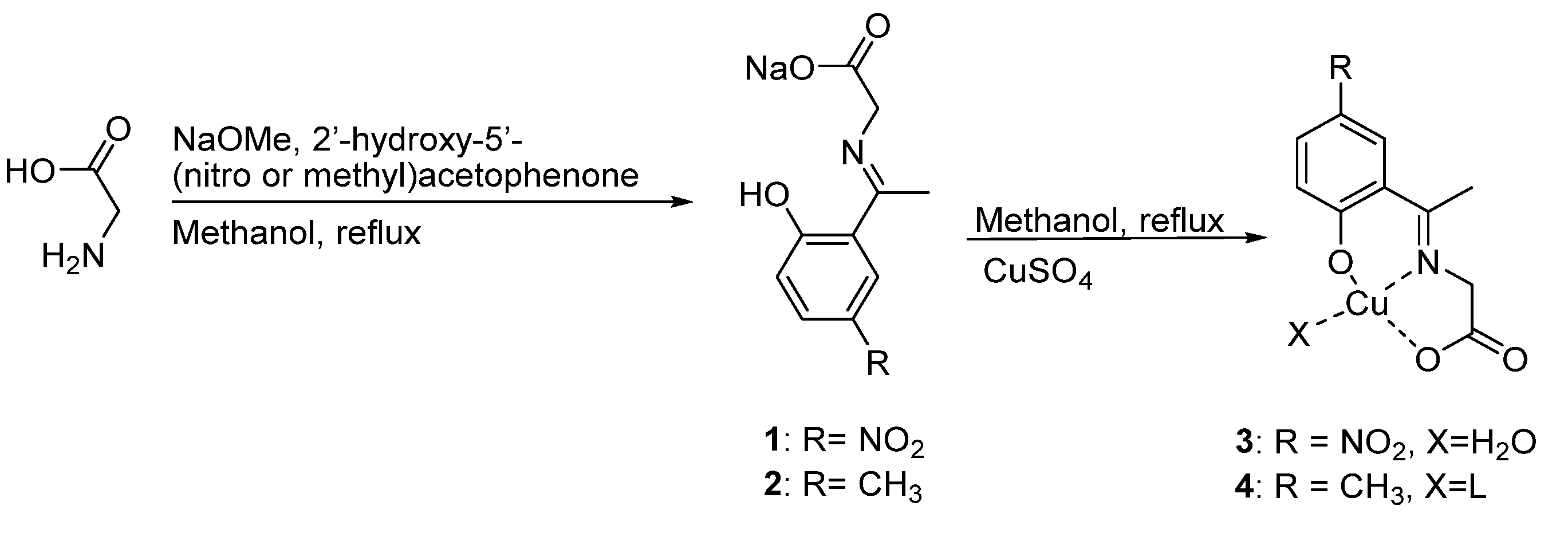 Molecules 26 07301 sch001