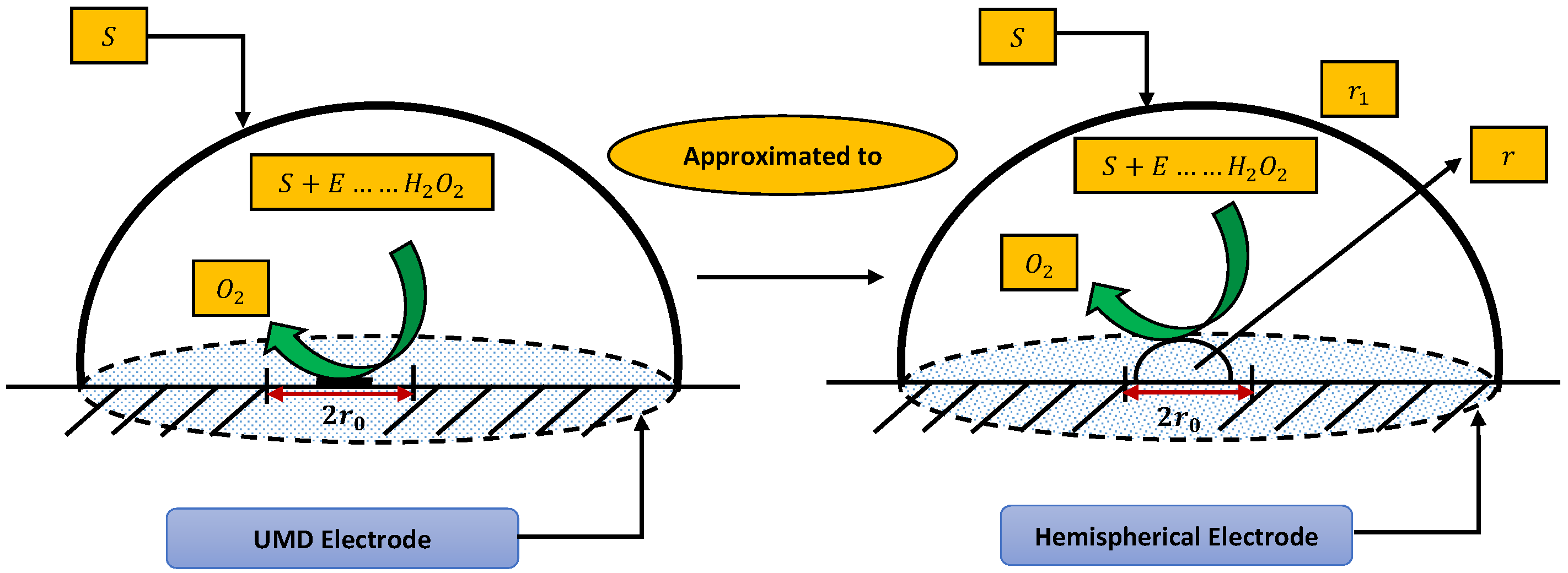 Molecules 26 07310 g001