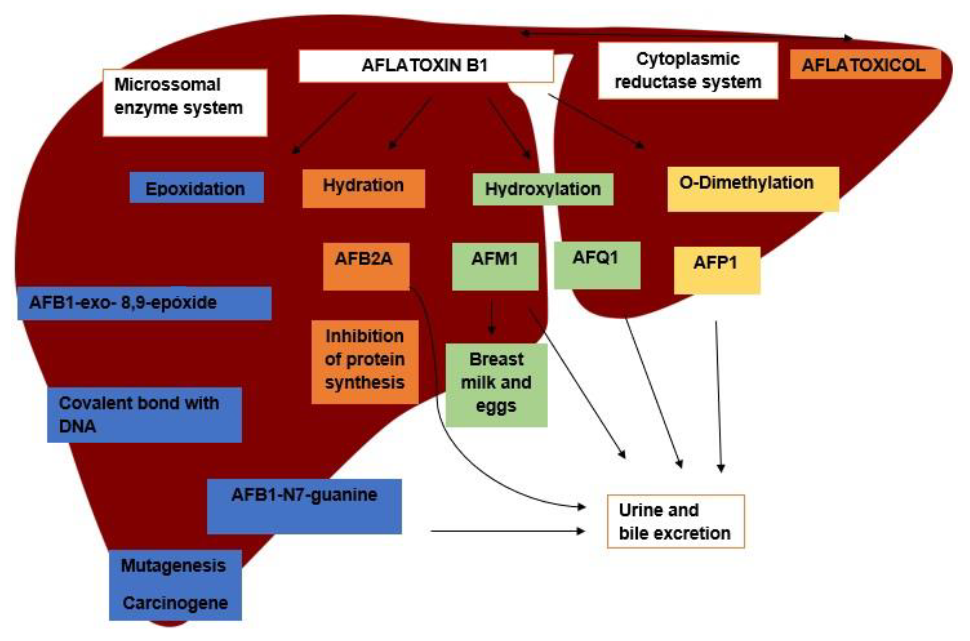 Molecules 26 07312 g001