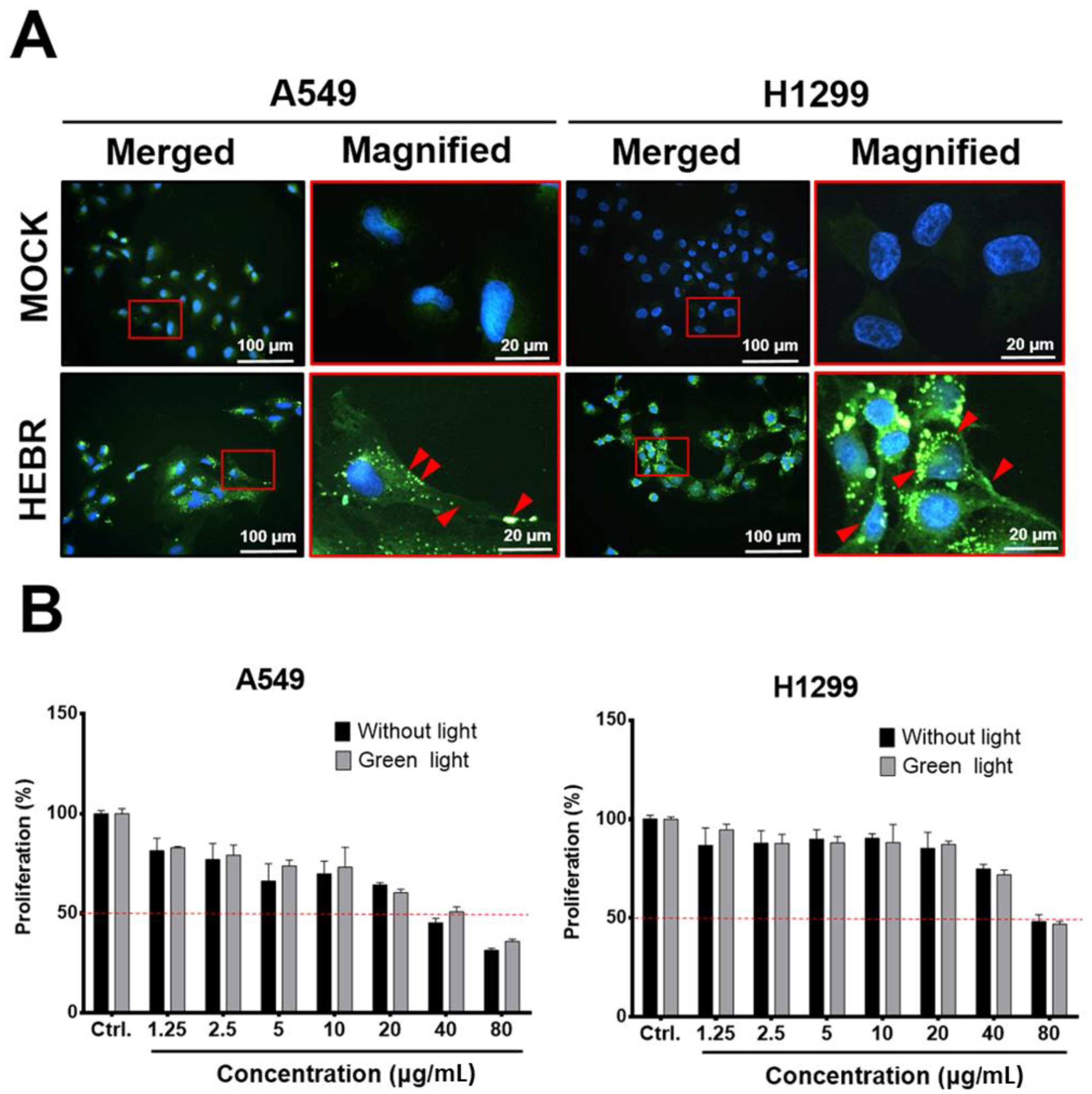 Molecules 26 07344 g001