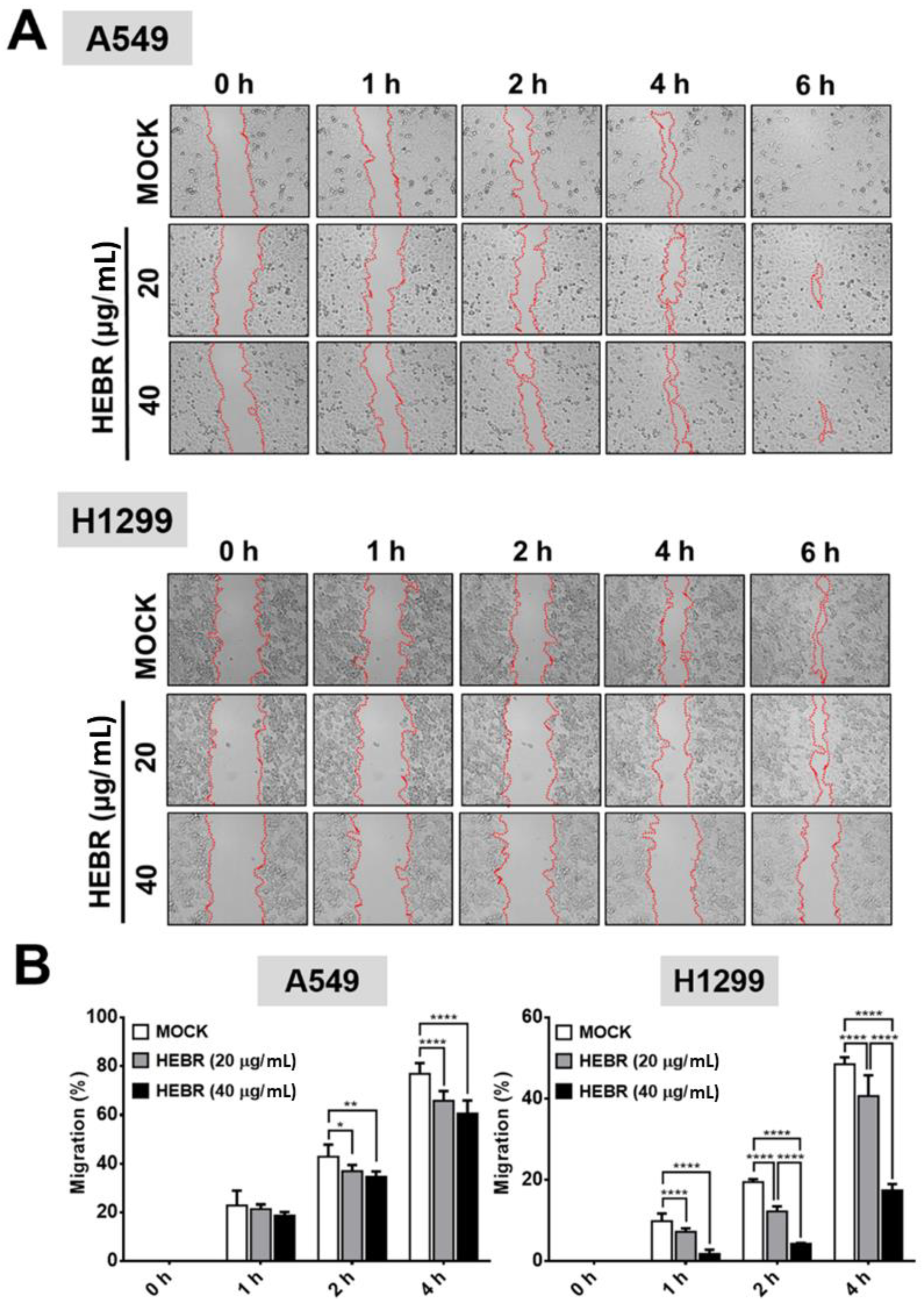 Molecules 26 07344 g003