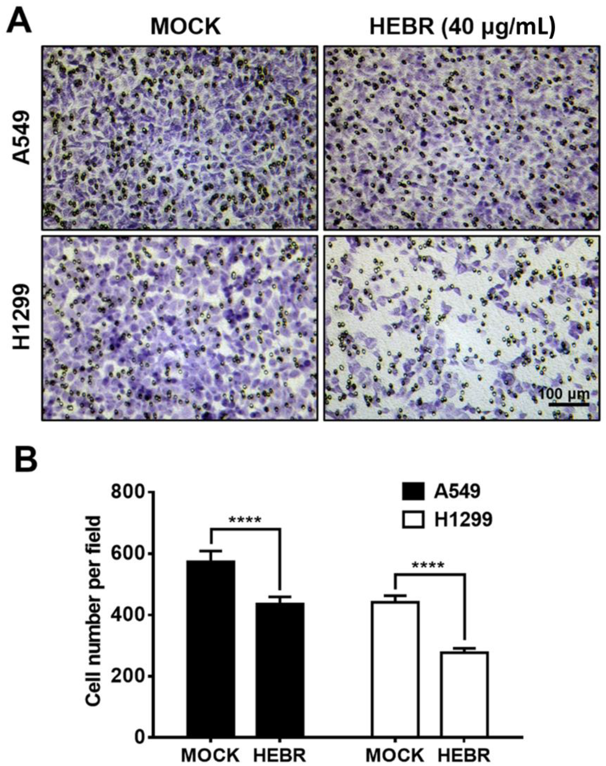 Molecules 26 07344 g004