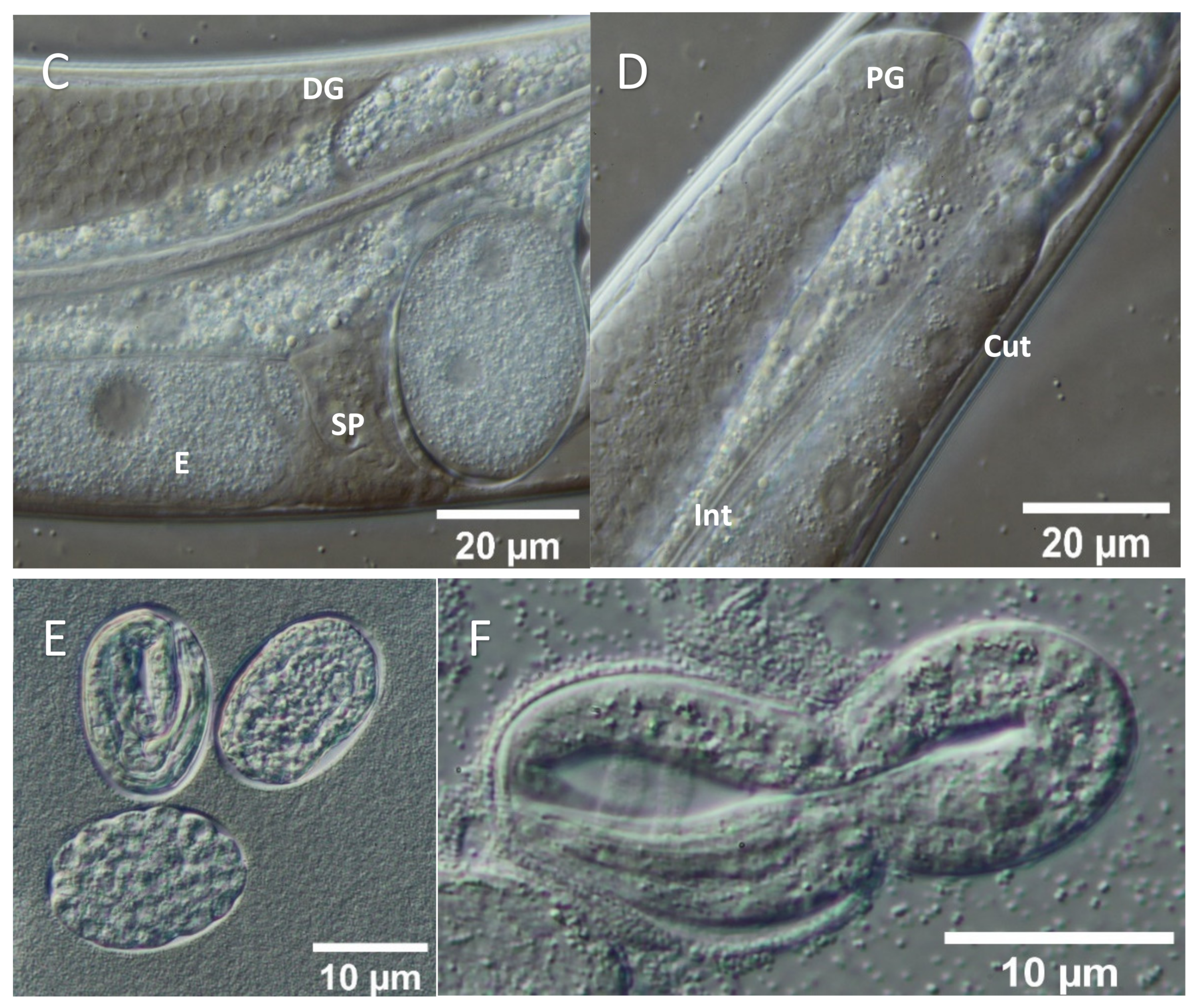 Molecules 26 07354 g002b