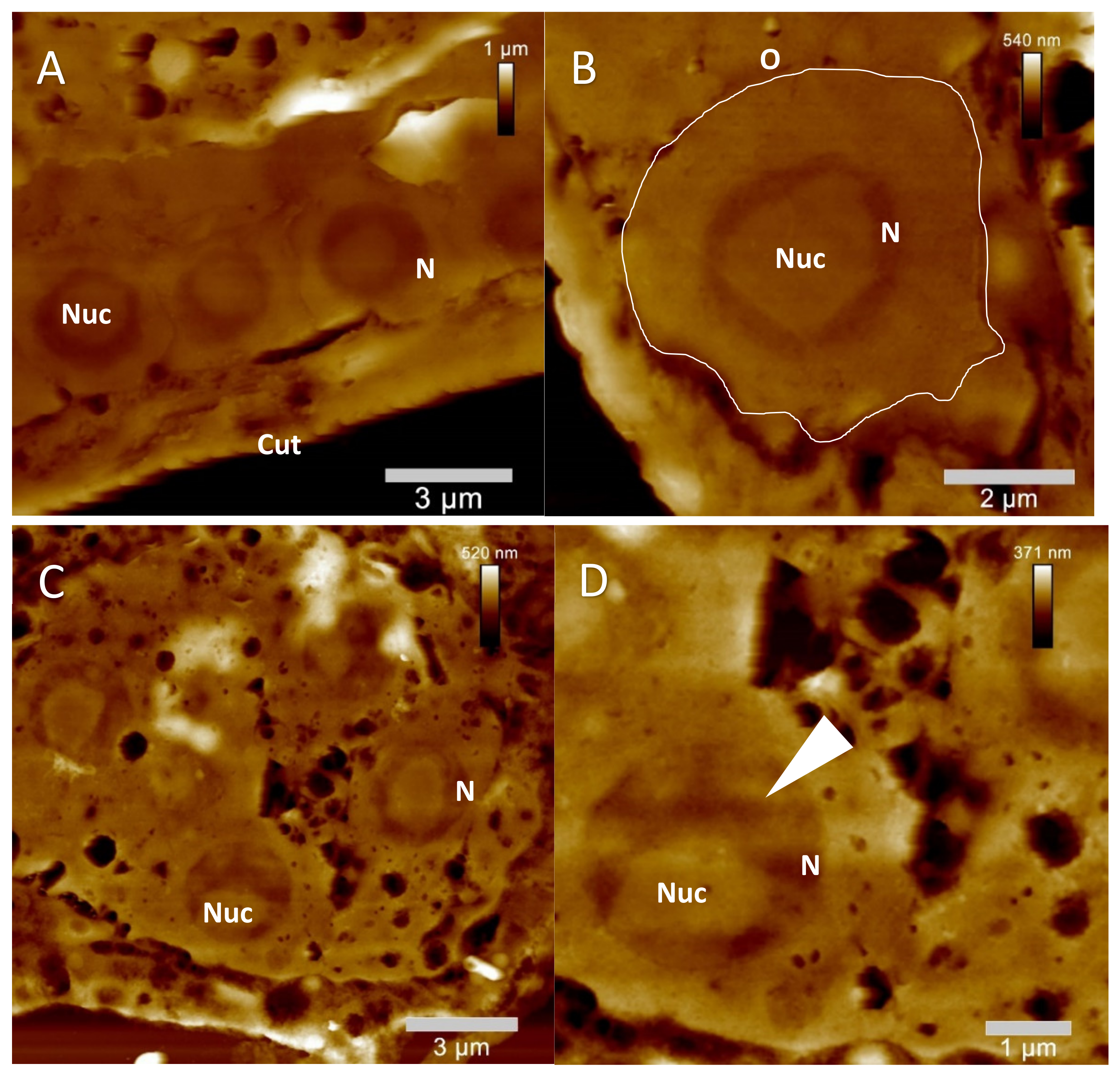 Molecules 26 07354 g006a