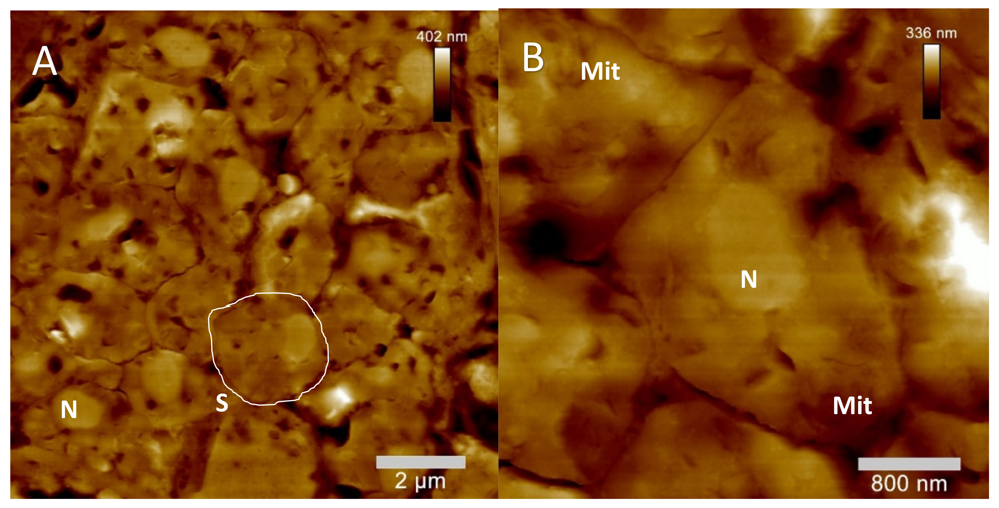 Molecules 26 07354 g007a