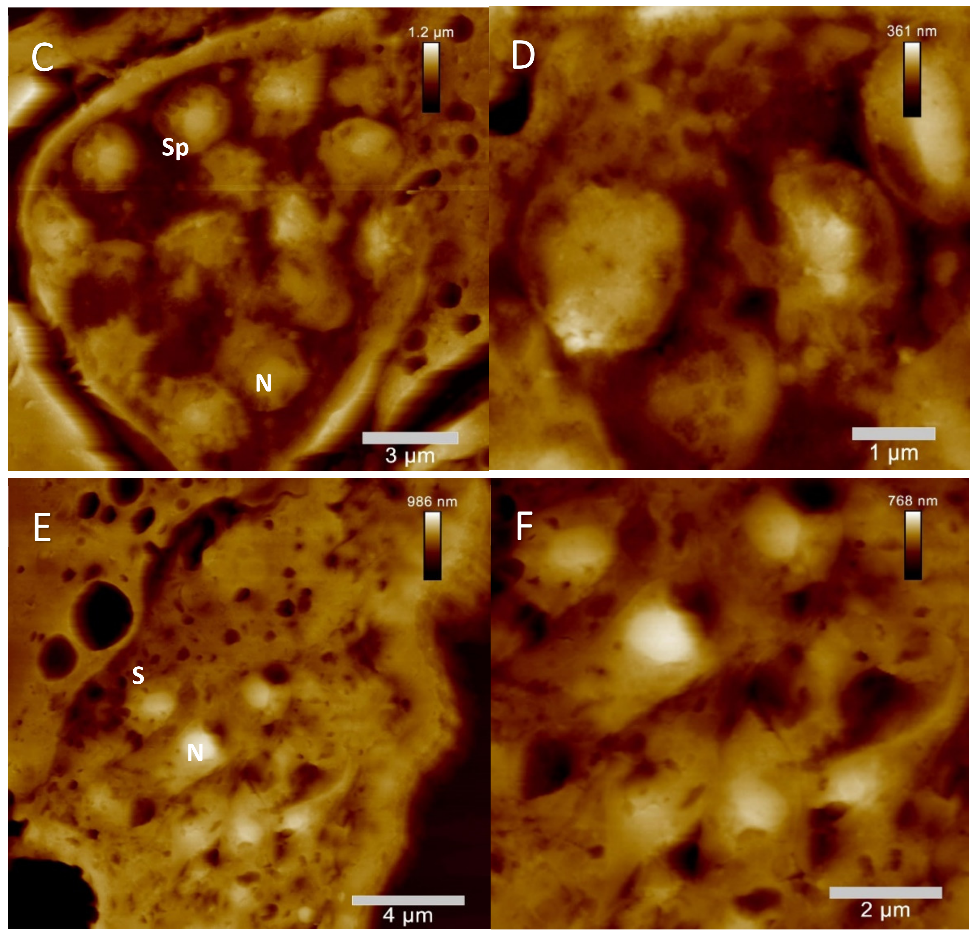 Molecules 26 07354 g007b
