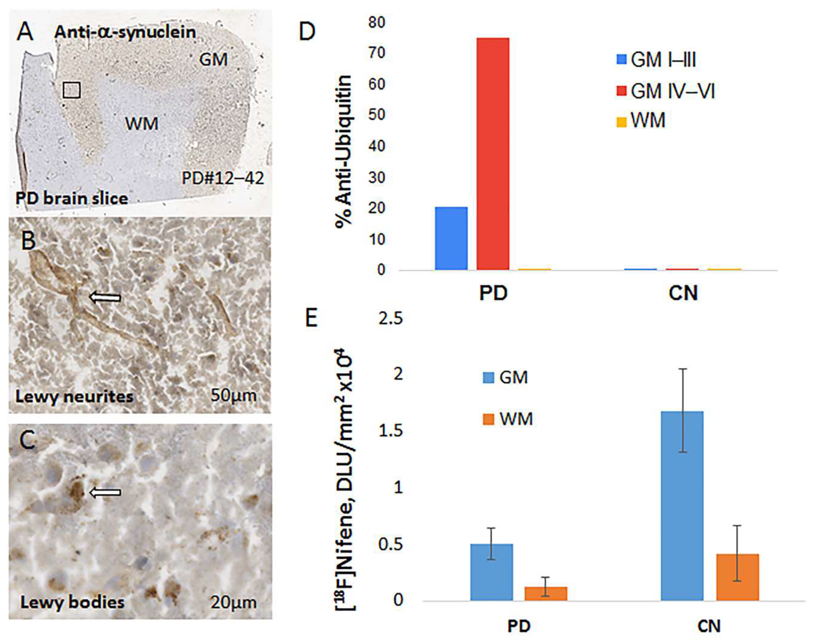 18F]Nifene PET/CT Imaging in Mice: Improved Methods and