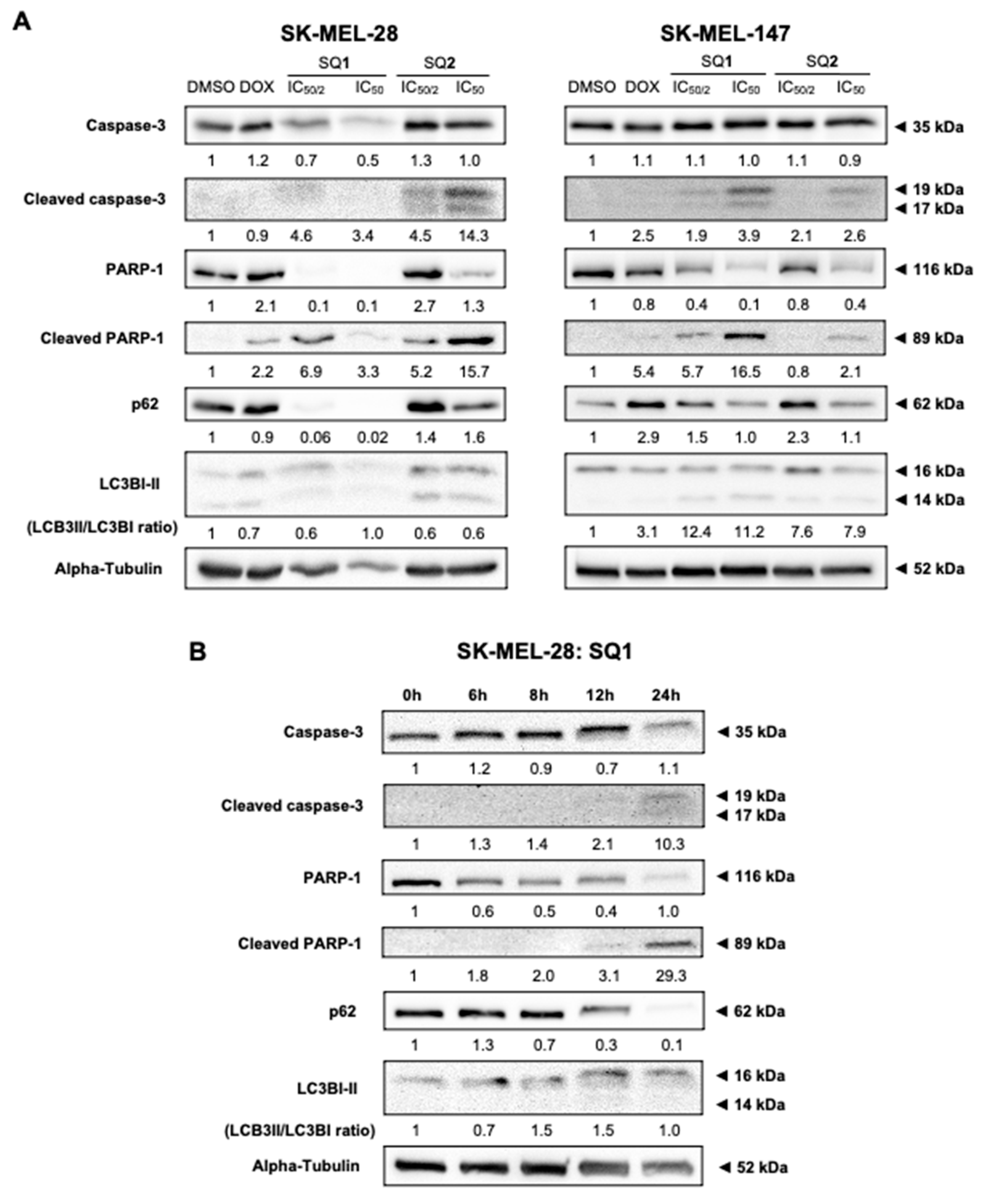 Molecules 26 07362 g003 550