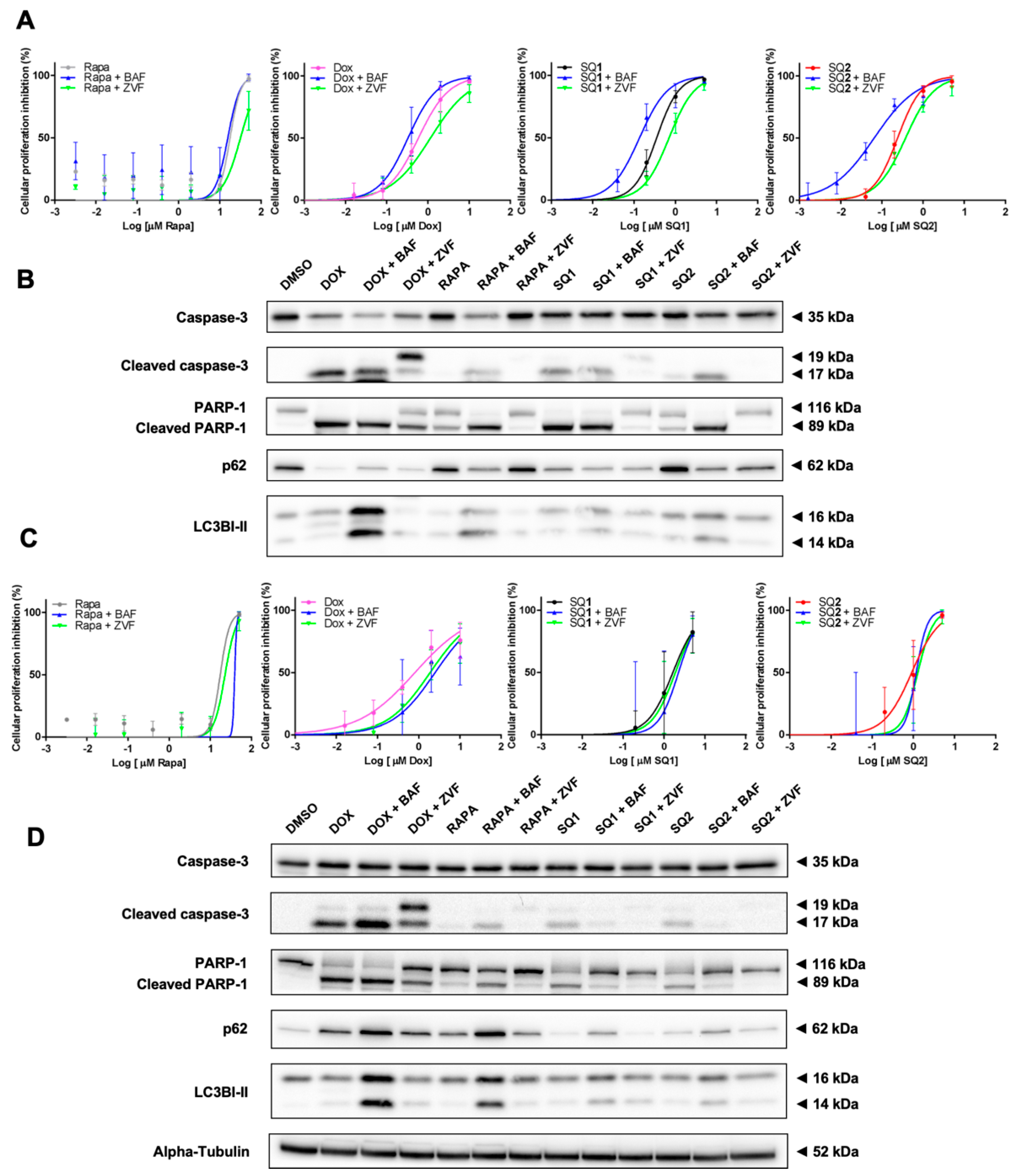 Molecules 26 07362 g005 550
