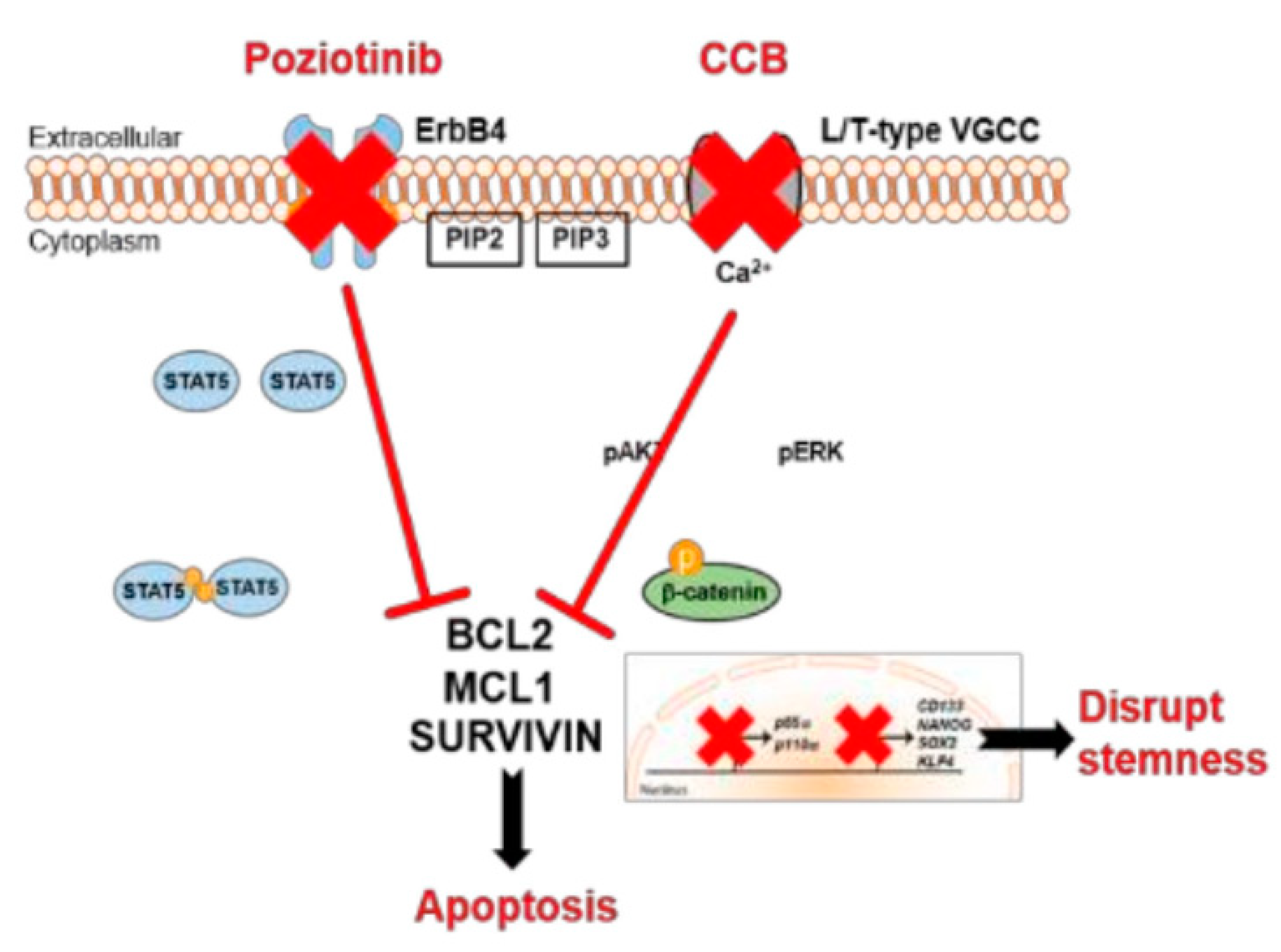 Molecules 26 07376 g003