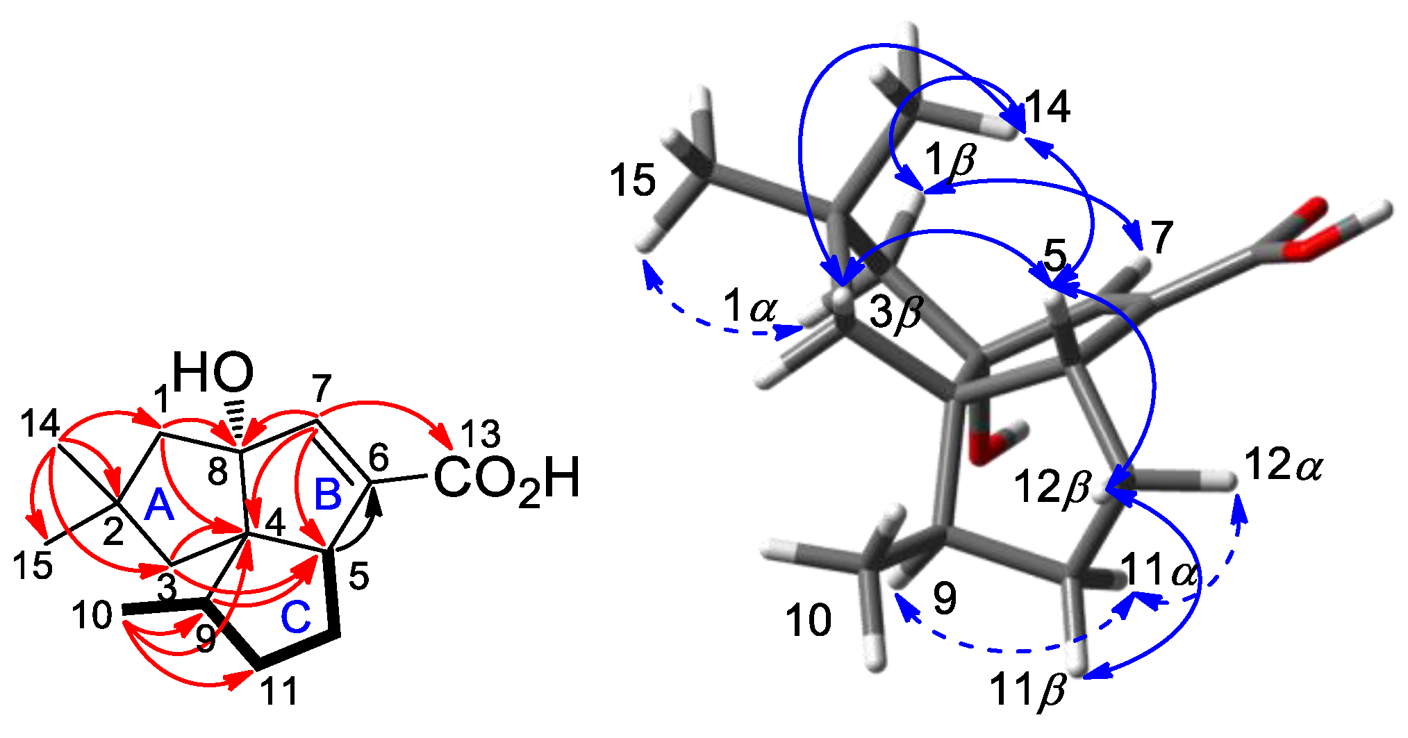 Molecules 26 07377 g001