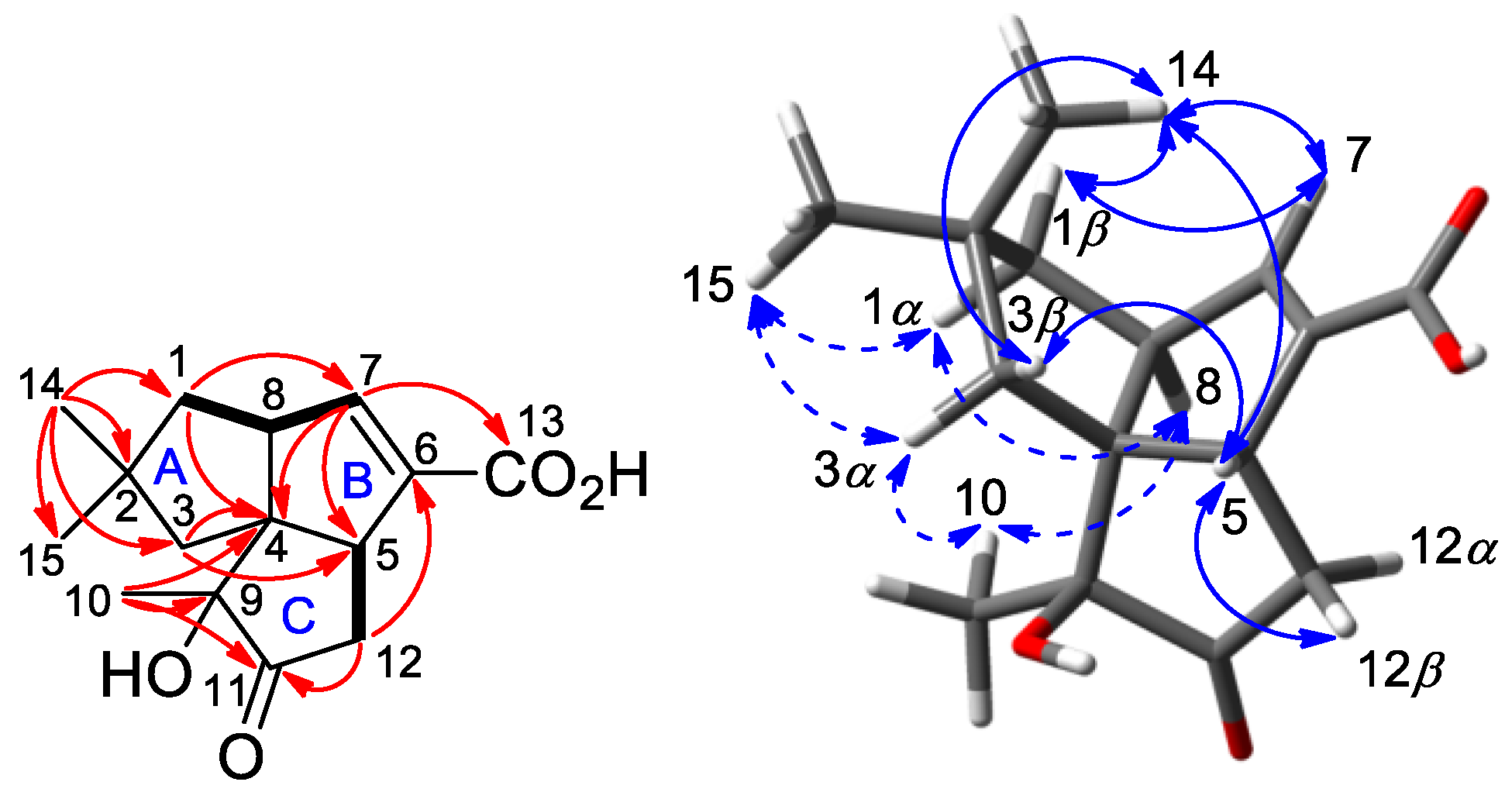 Molecules 26 07377 g003