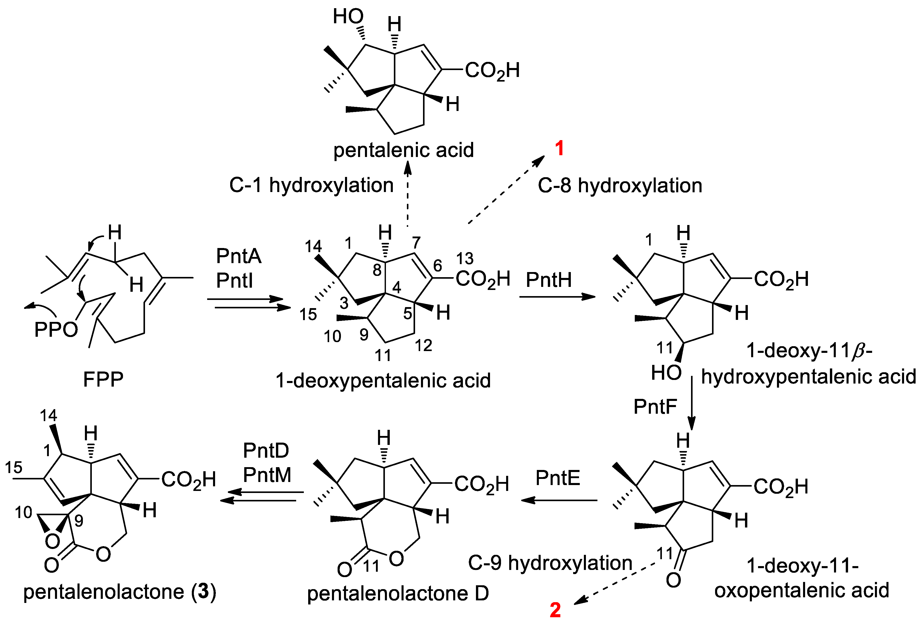 Molecules 26 07377 sch001