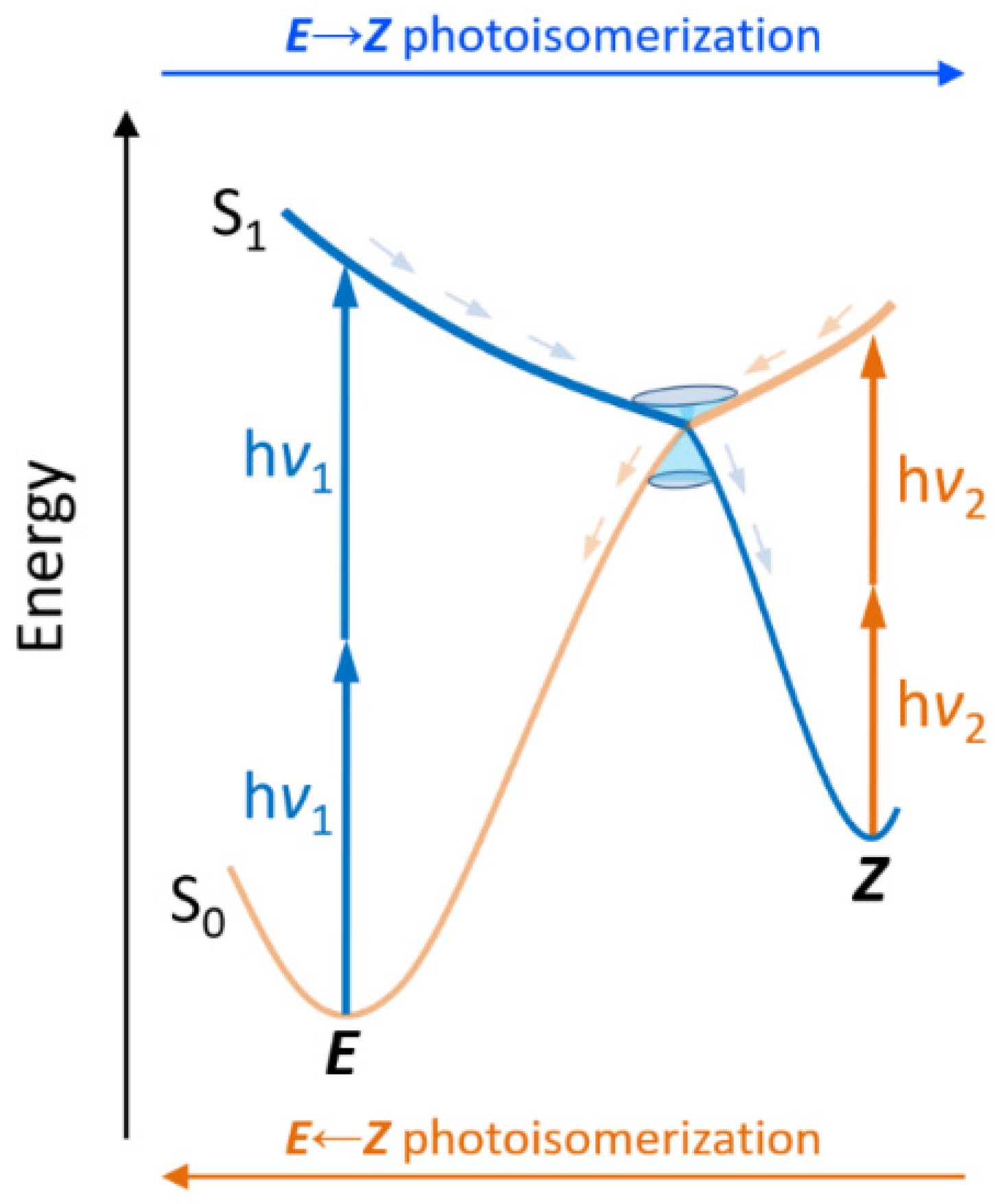 Molecules 26 07379 g001