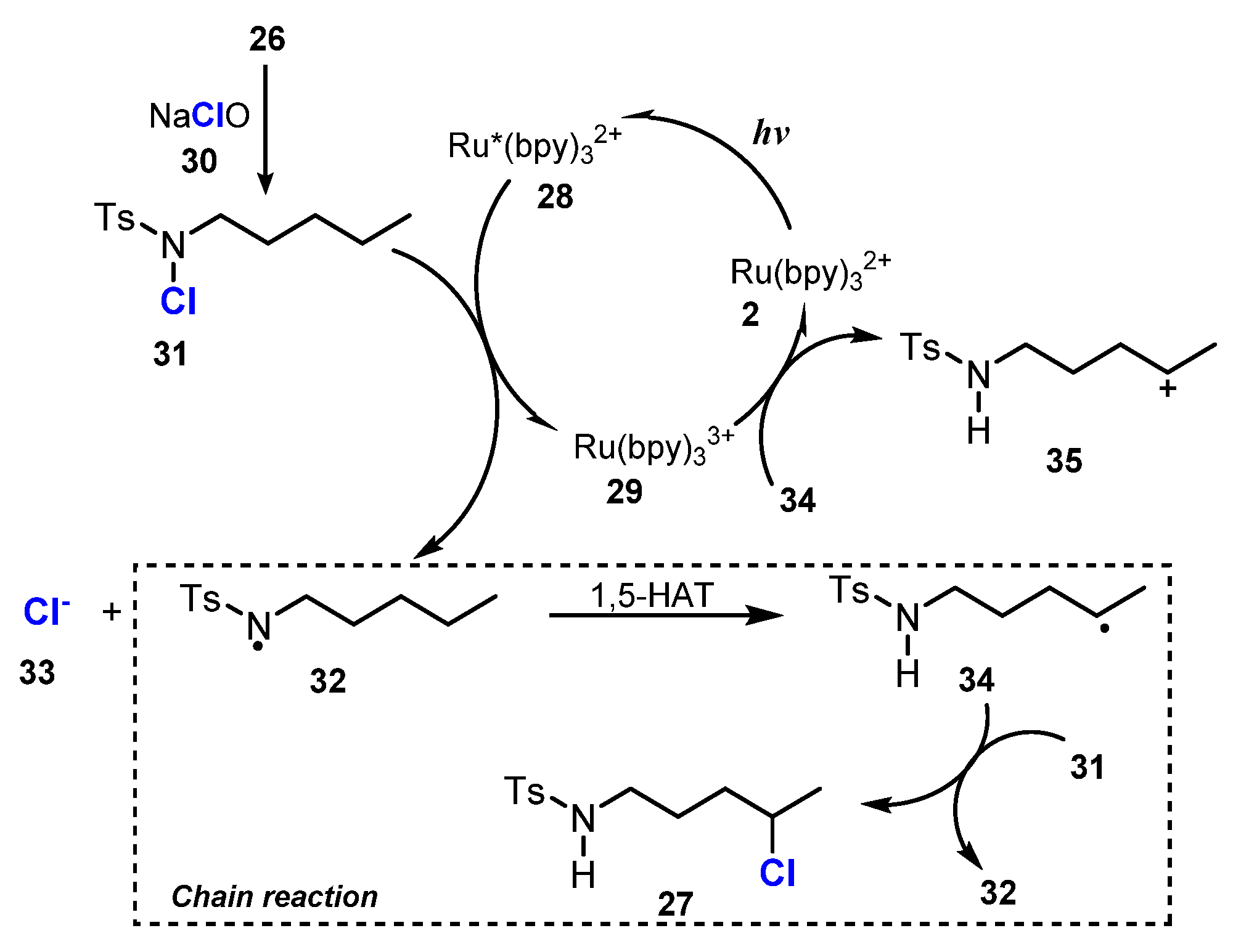 Molecules 26 07380 sch009 Molecules 26 07380 sch009