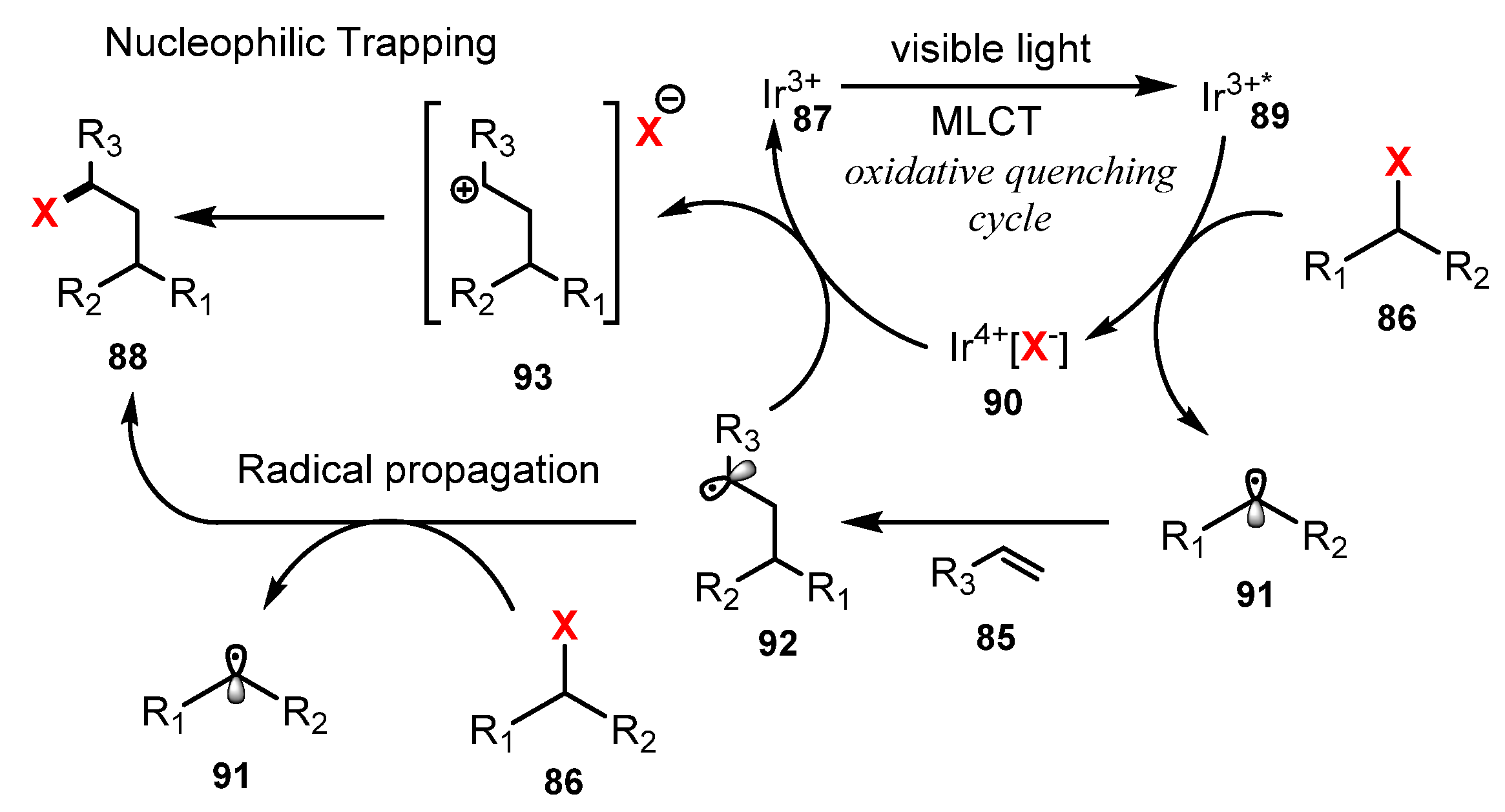 Molecules 26 07380 sch024 Molecules 26 07380 sch024