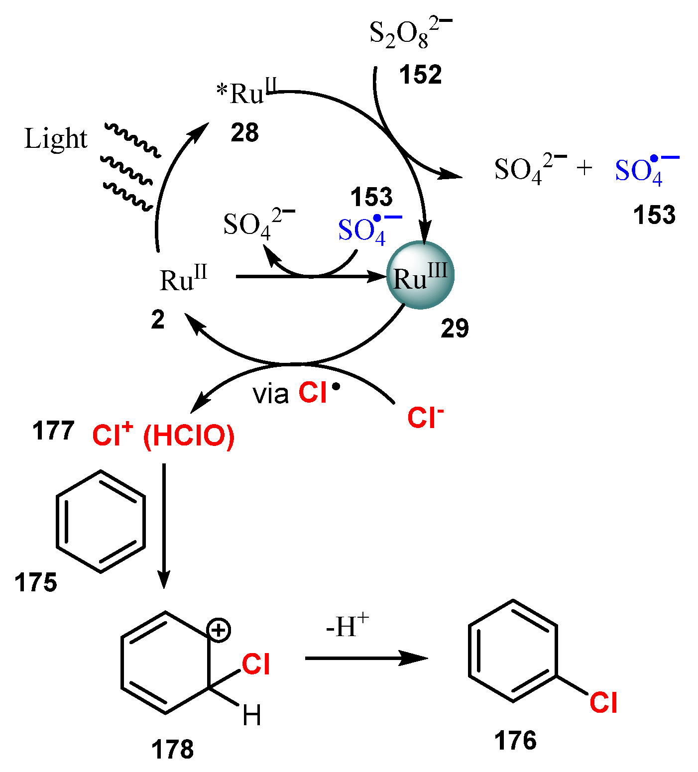 Molecules 26 07380 sch048 Molecules 26 07380 sch048
