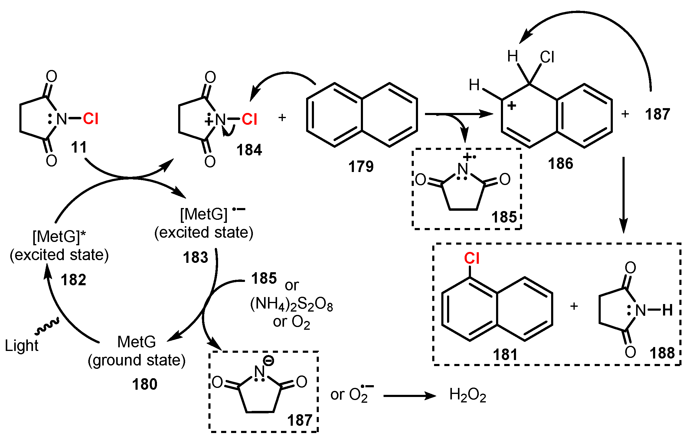 Molecules 26 07380 sch050 Molecules 26 07380 sch050