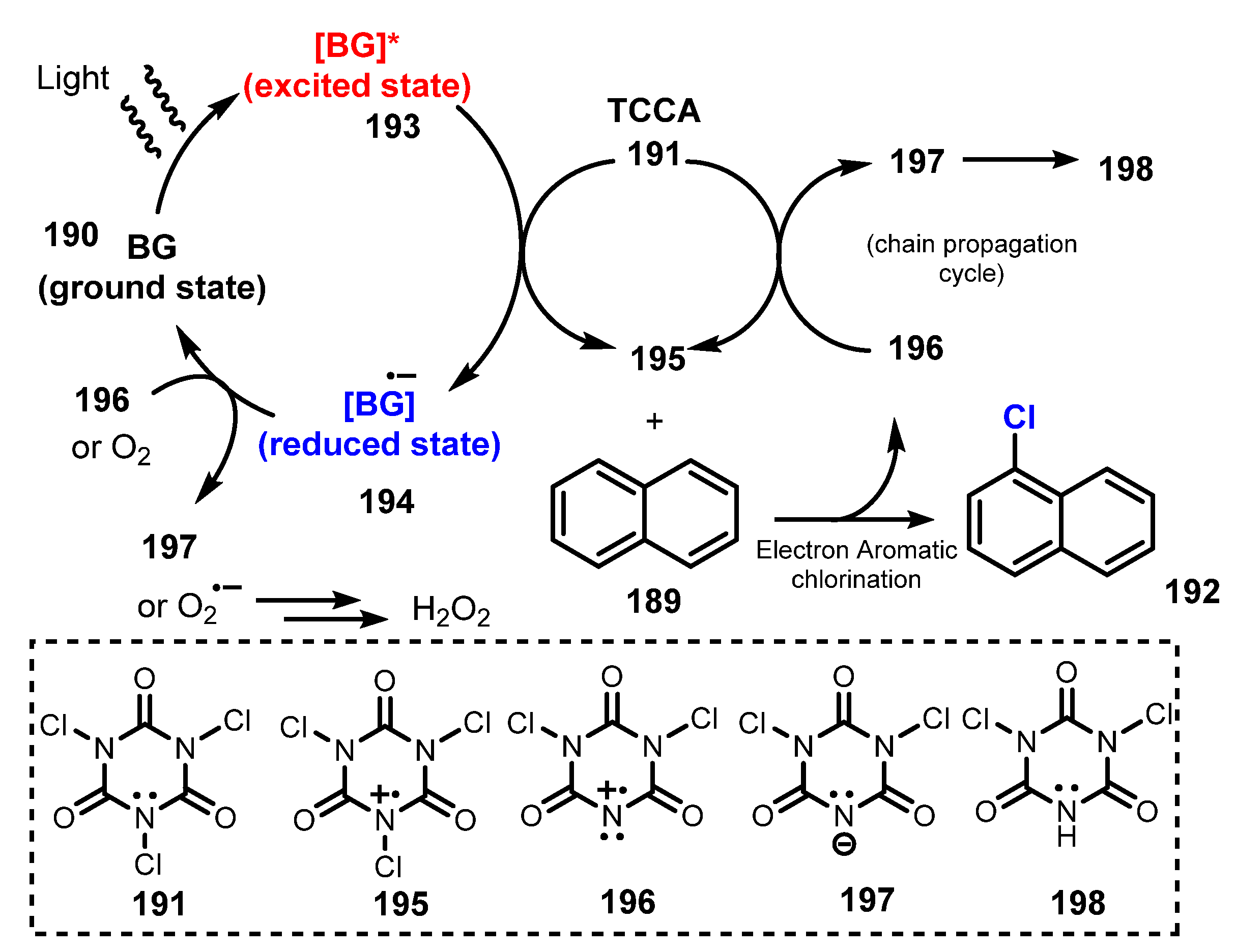 Molecules 26 07380 sch052 Molecules 26 07380 sch052