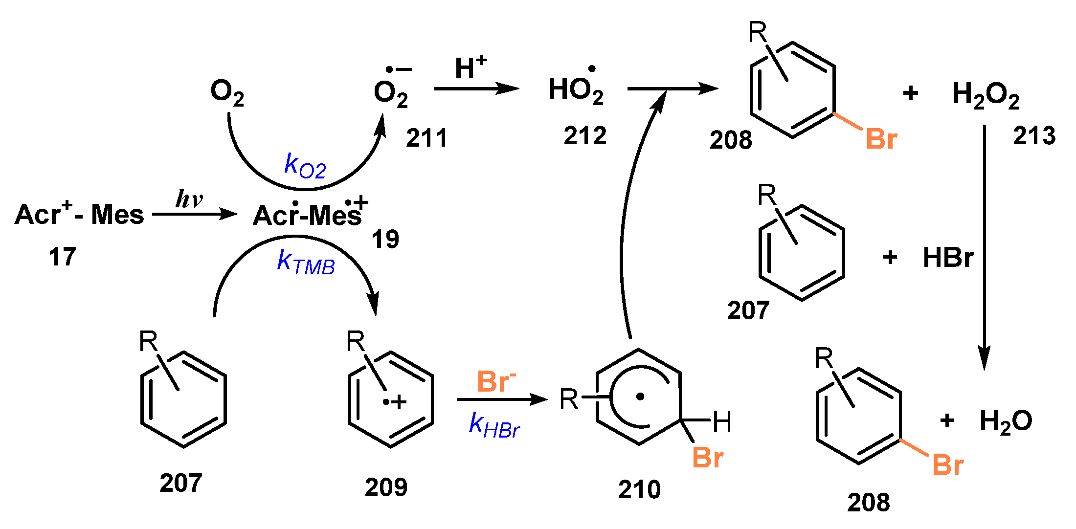 Molecules 26 07380 sch056 Molecules 26 07380 sch056