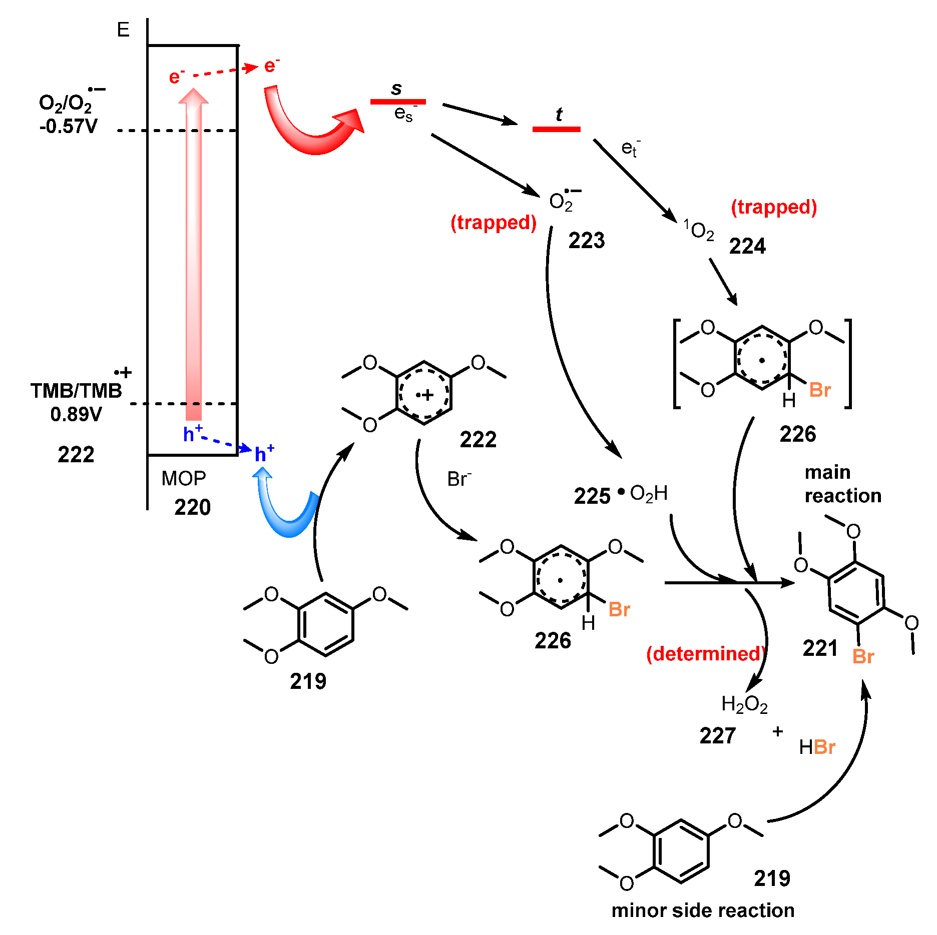 Molecules 26 07380 sch060 Molecules 26 07380 sch060